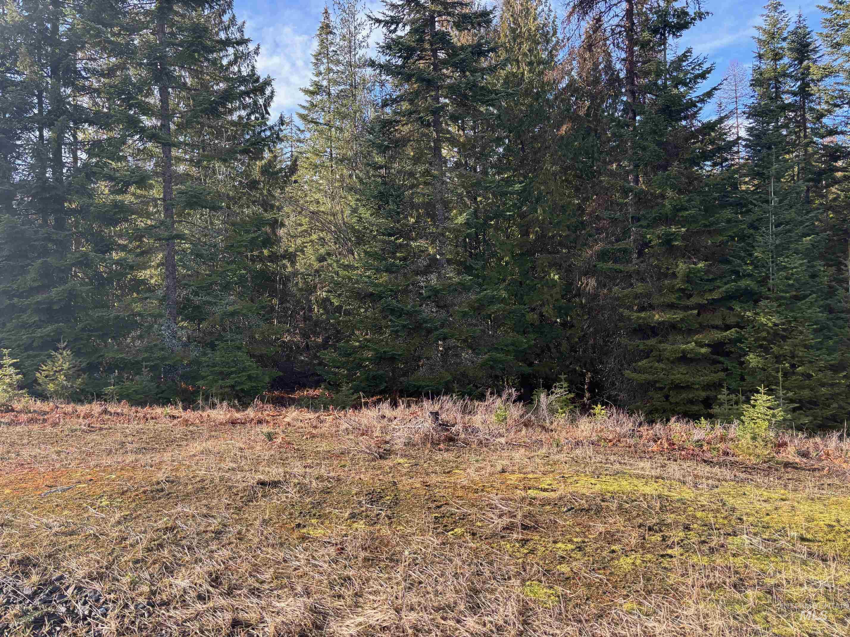 property viewer photo 1