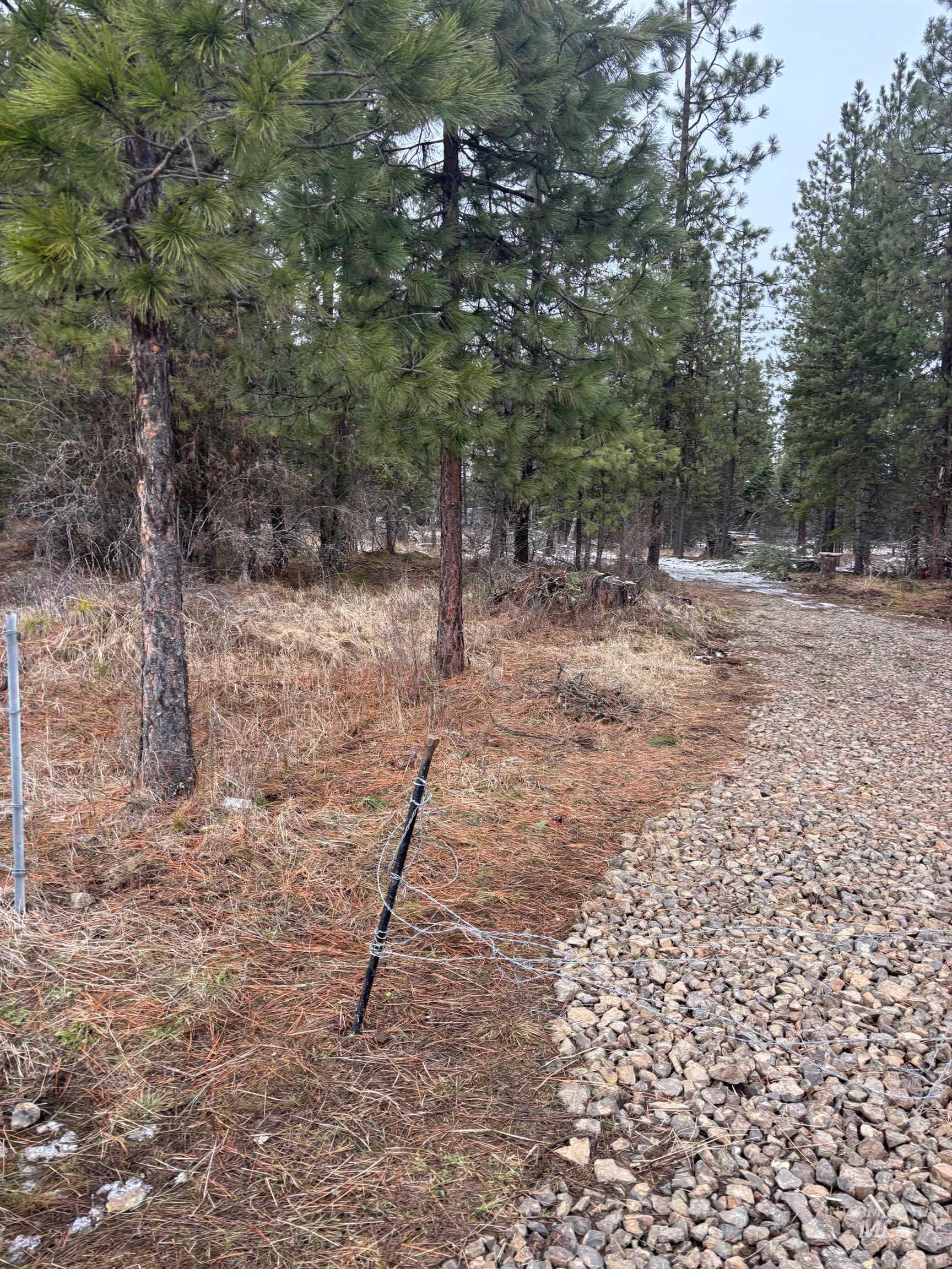 property viewer photo 2