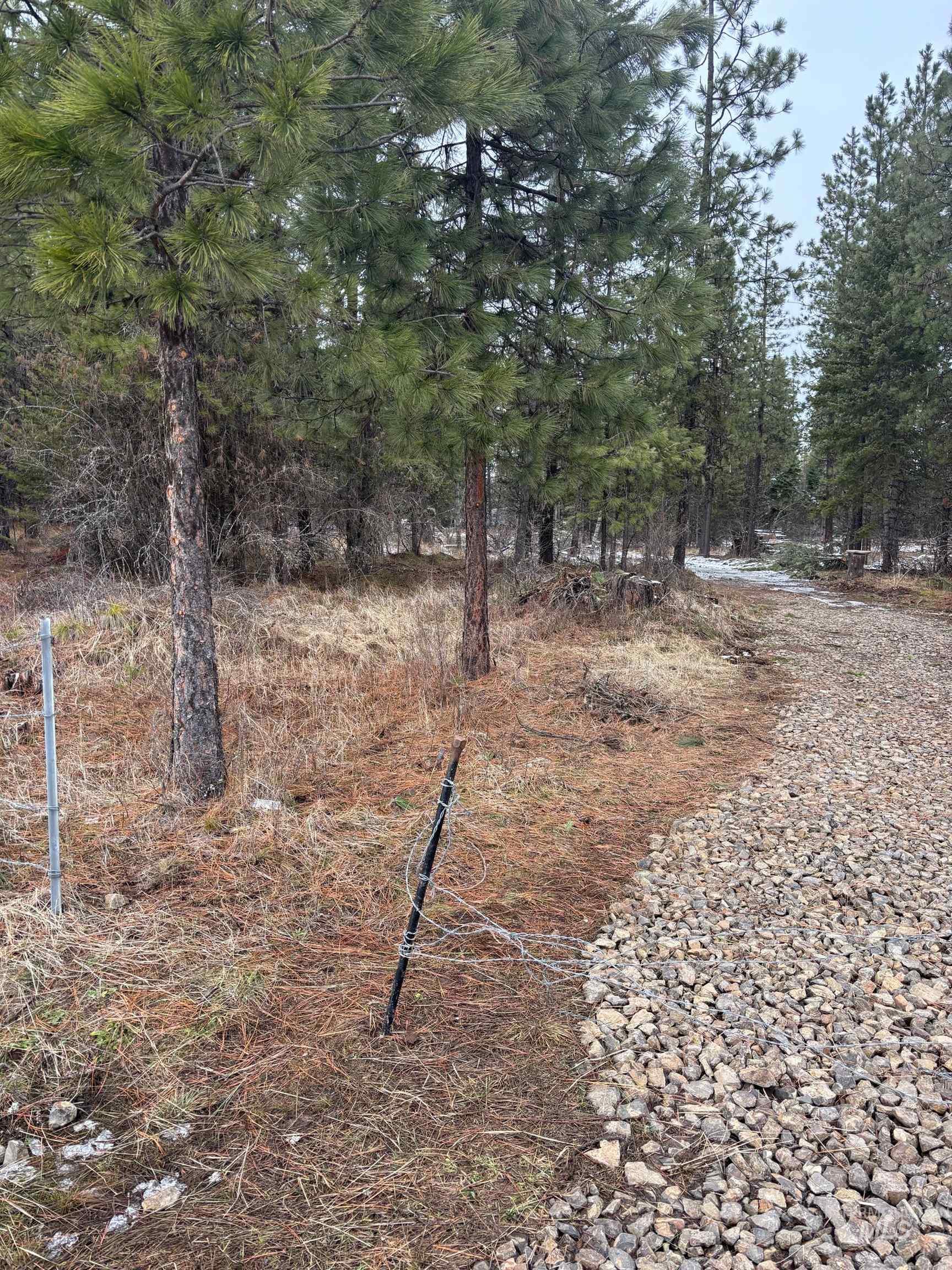 property viewer photo 3