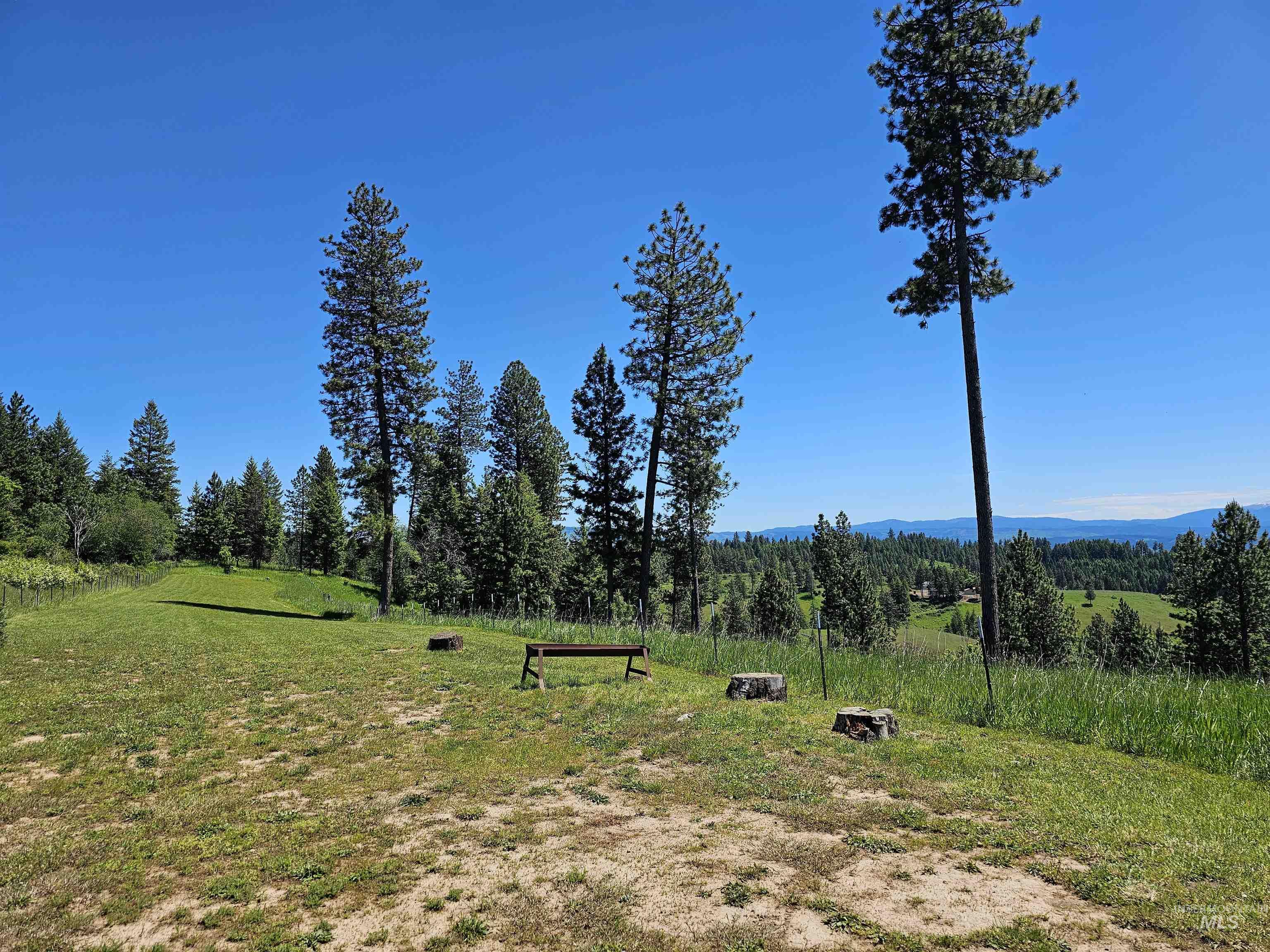 main property photo 40