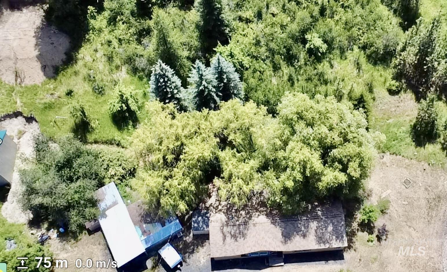 main property photo 42