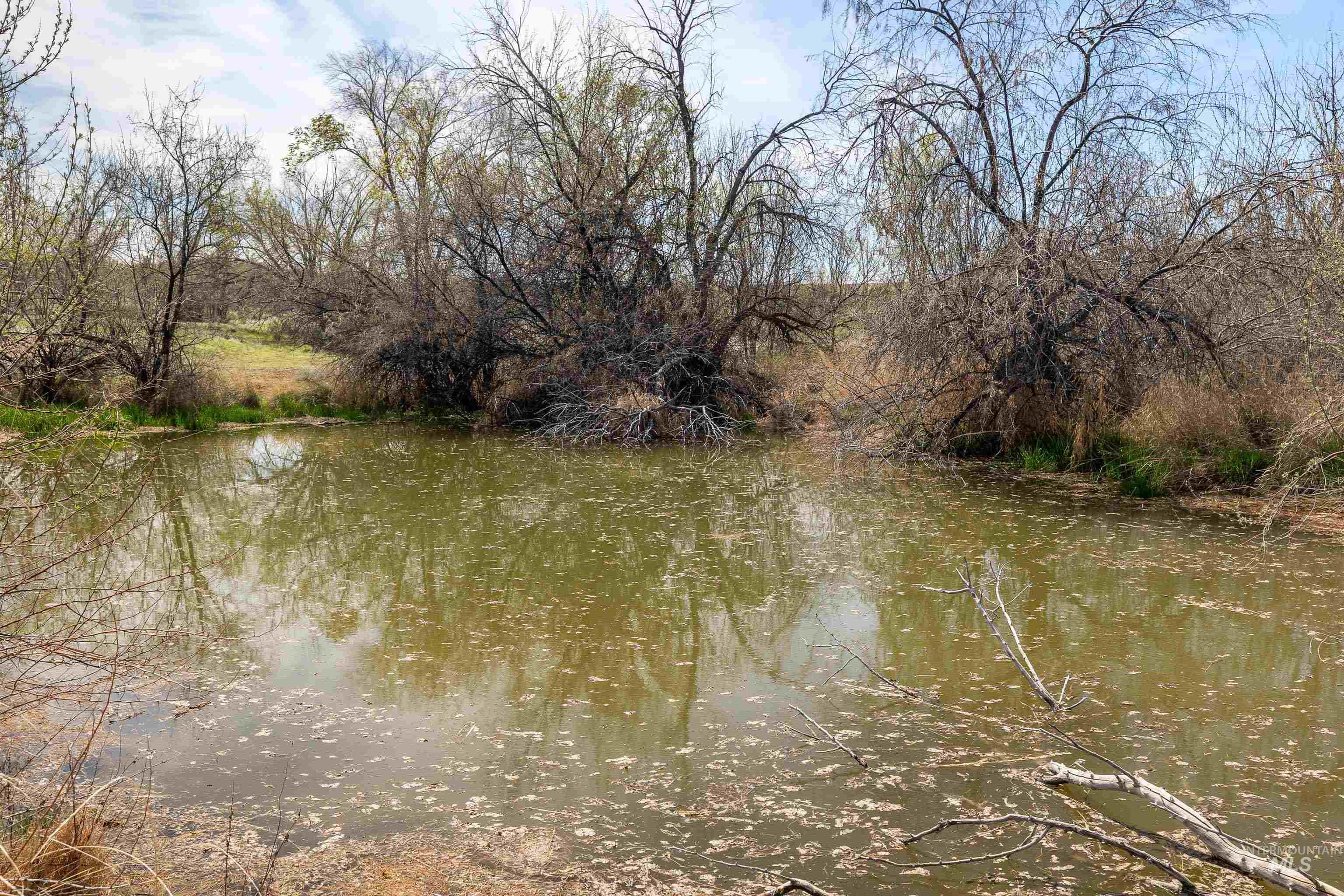main property photo 12