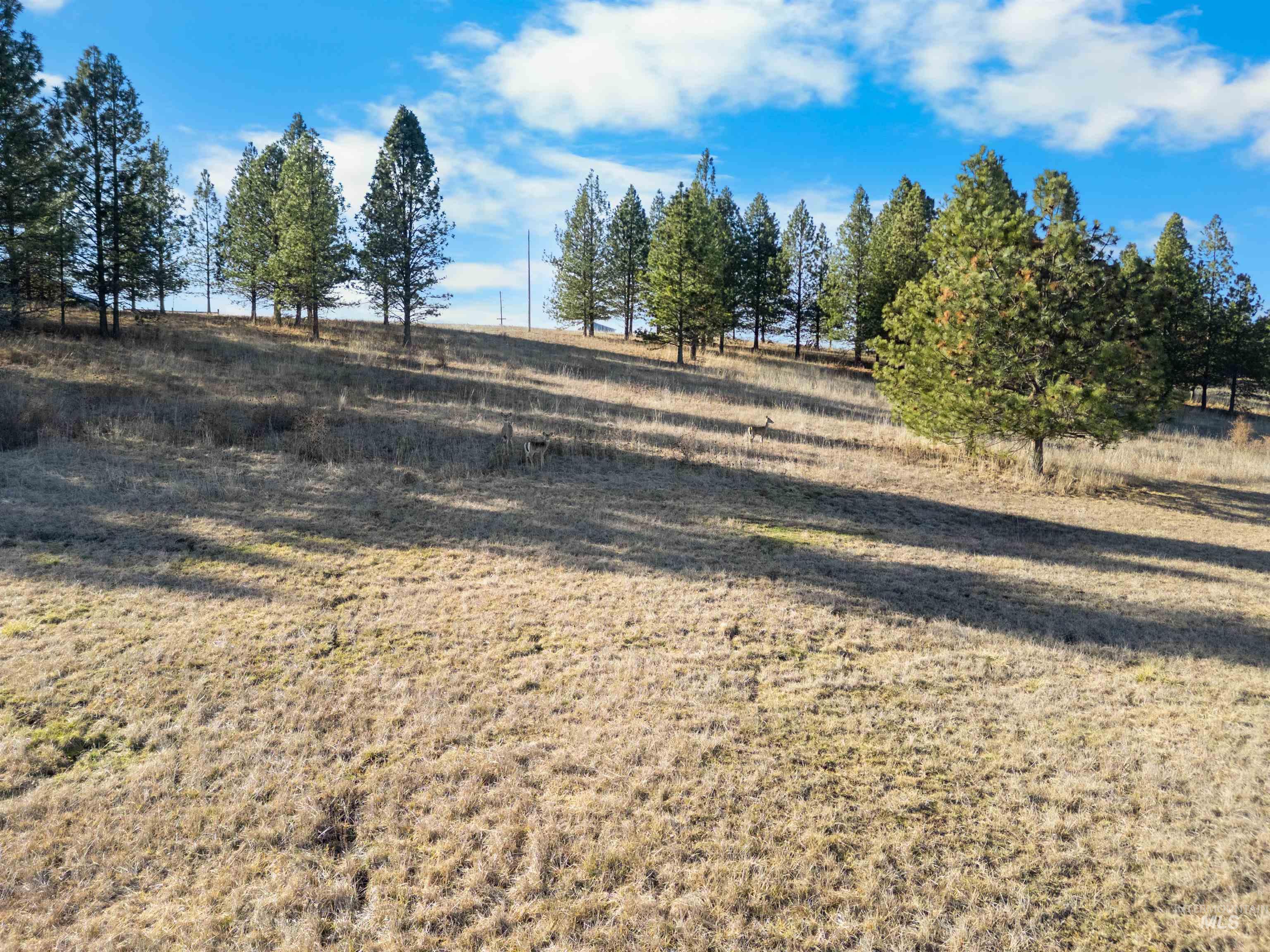 main property photo 46