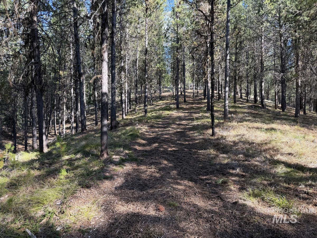 main property photo 17