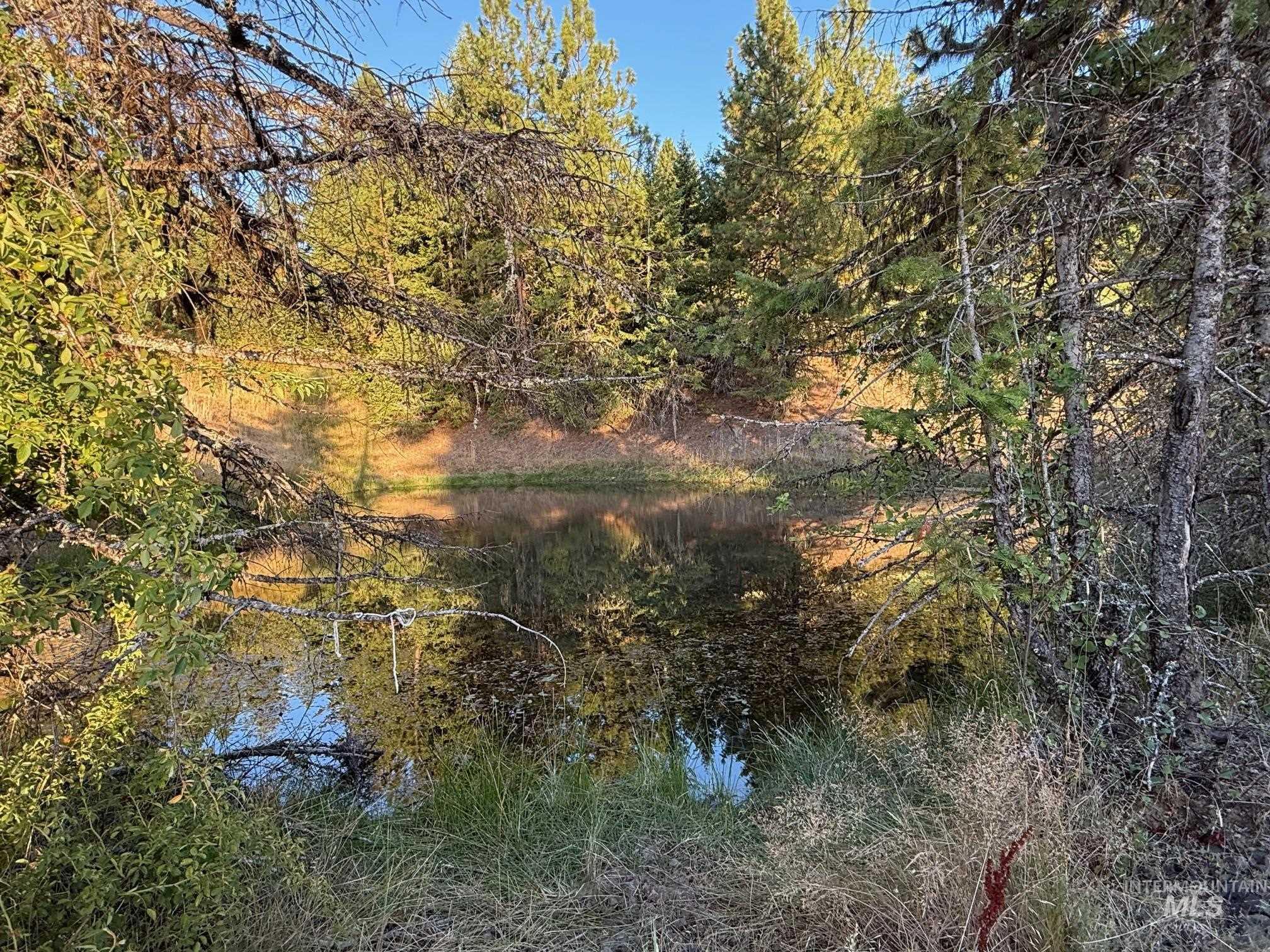 main property photo 10