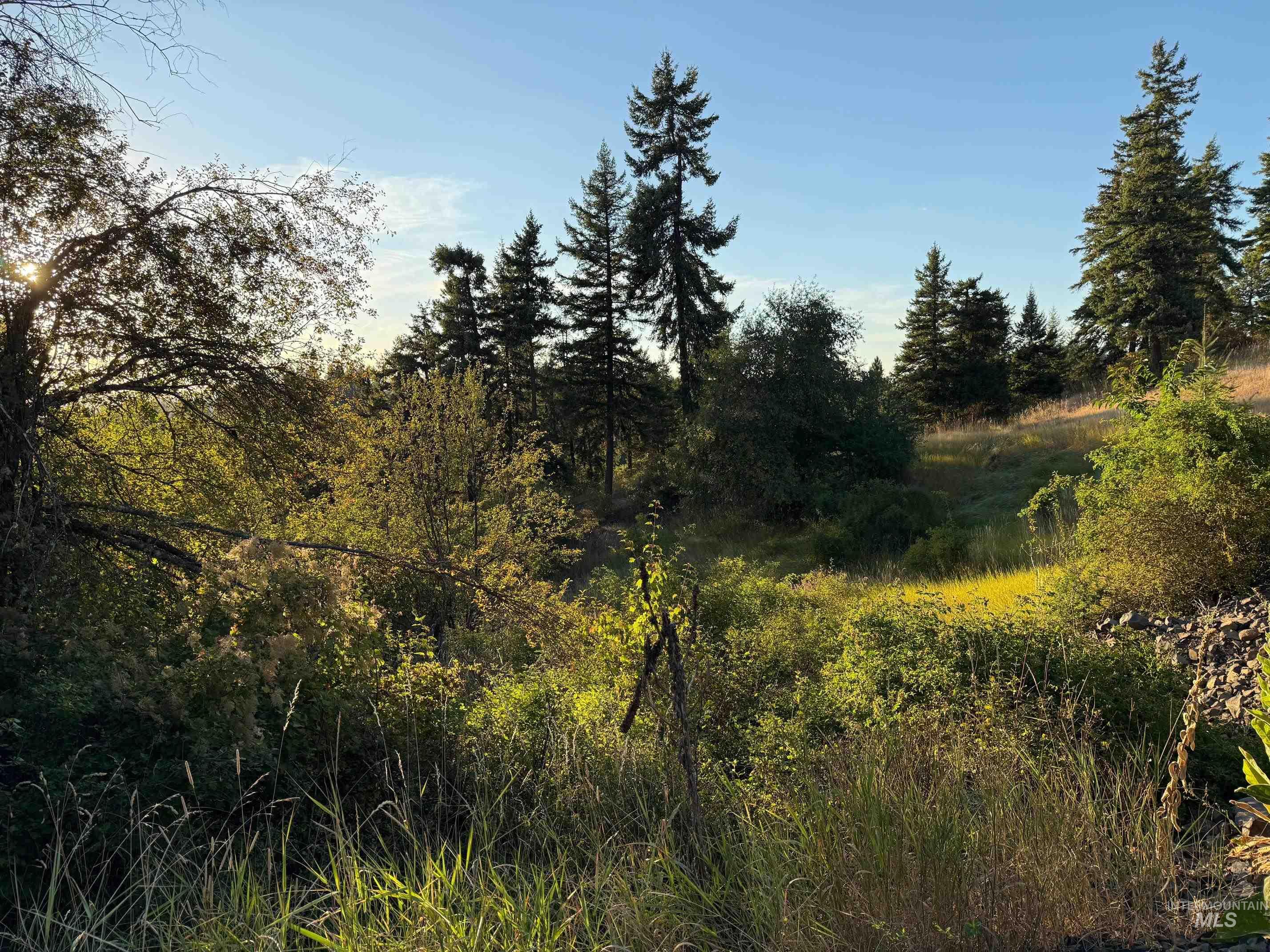 main property photo 12