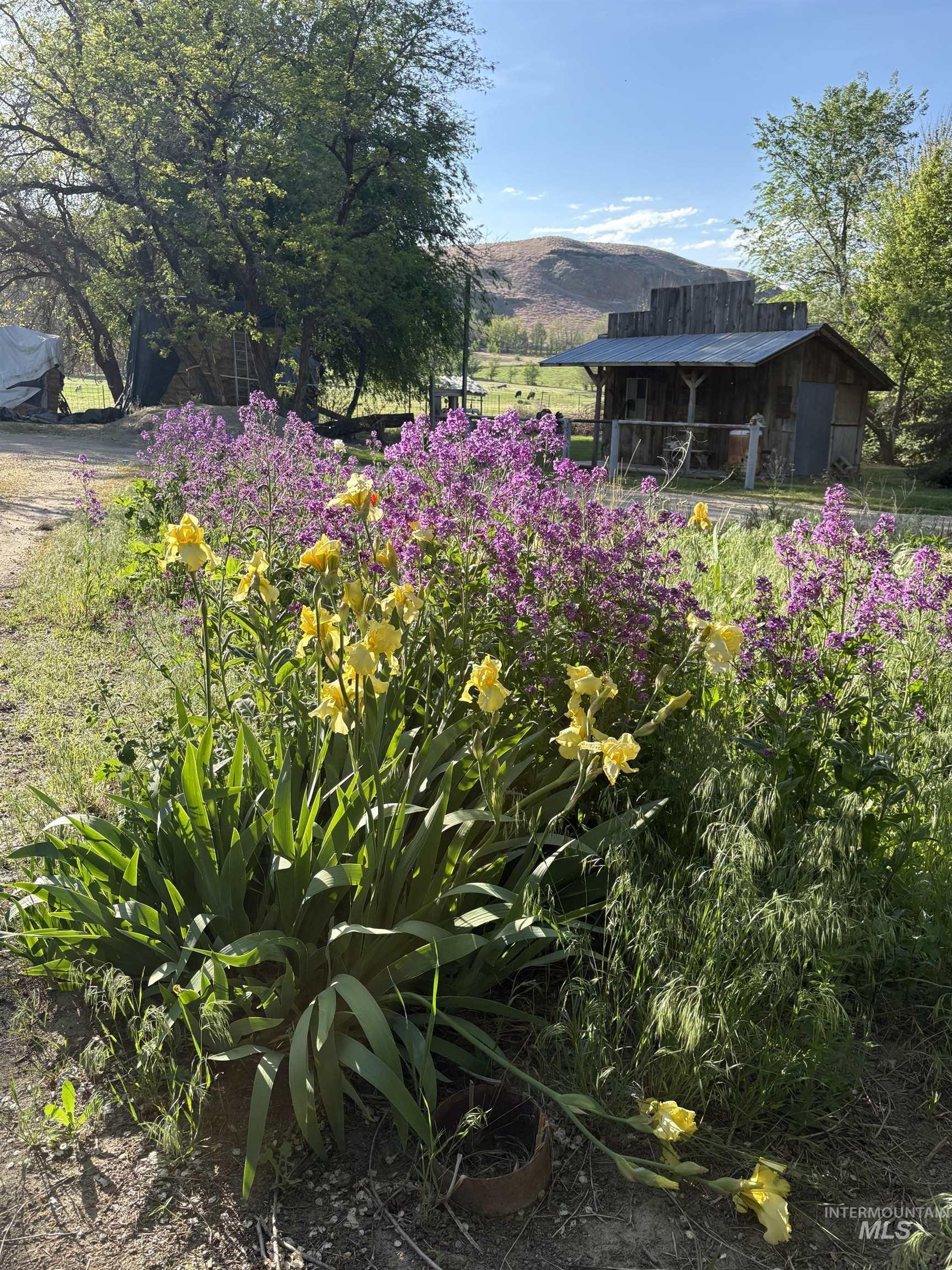 main property photo 32