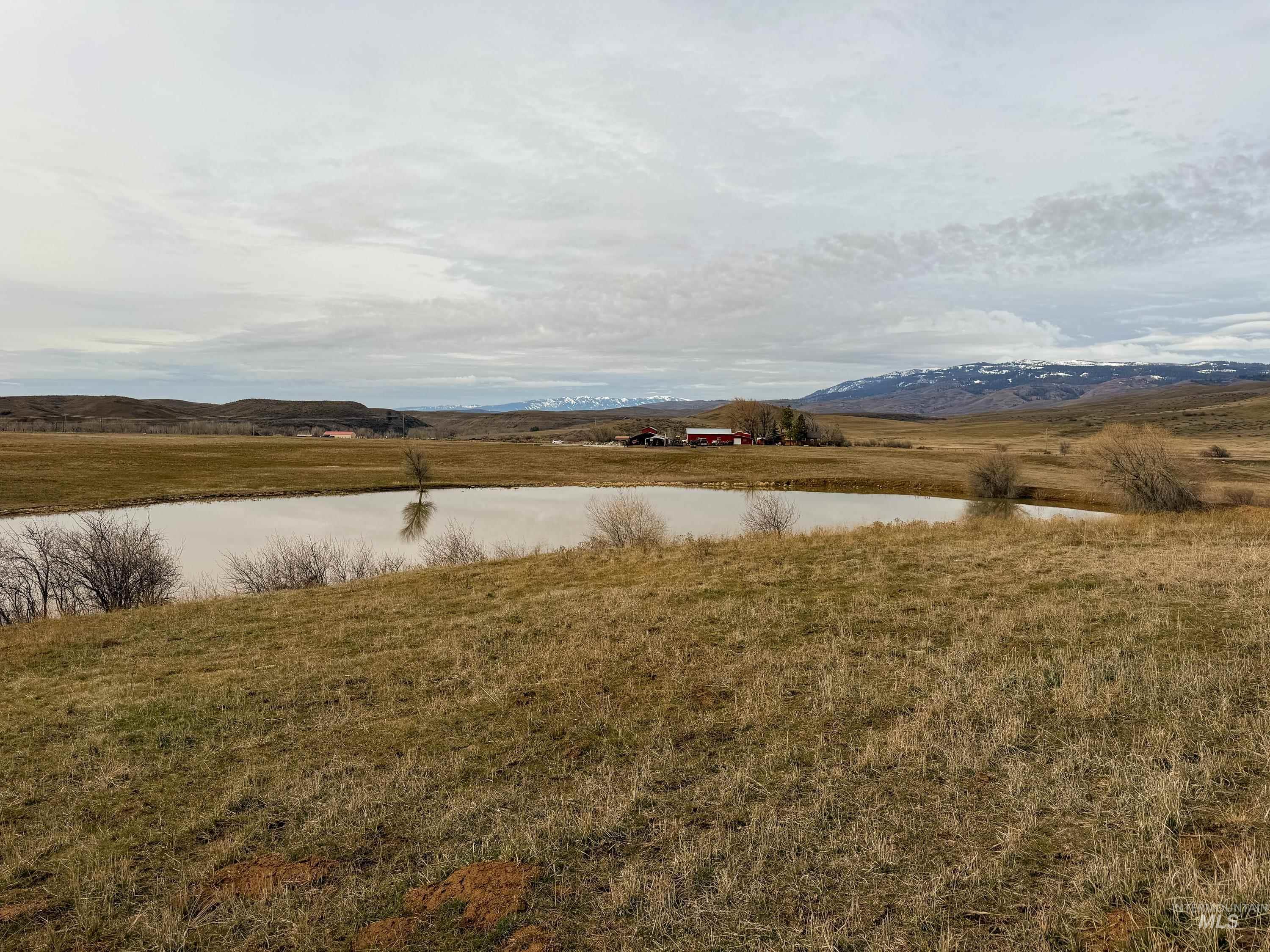 main property photo 48