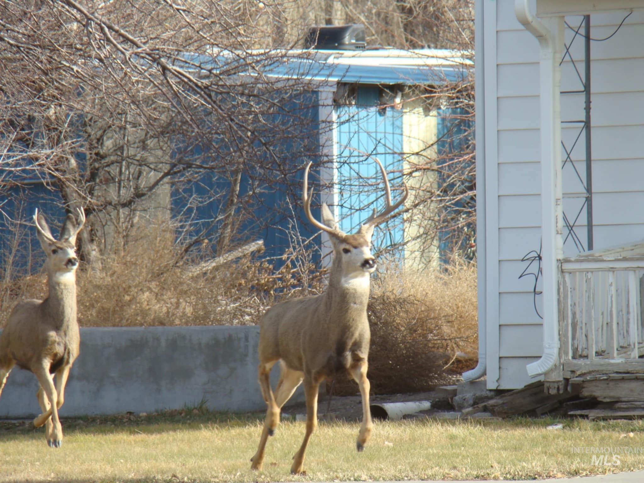 main property photo 34