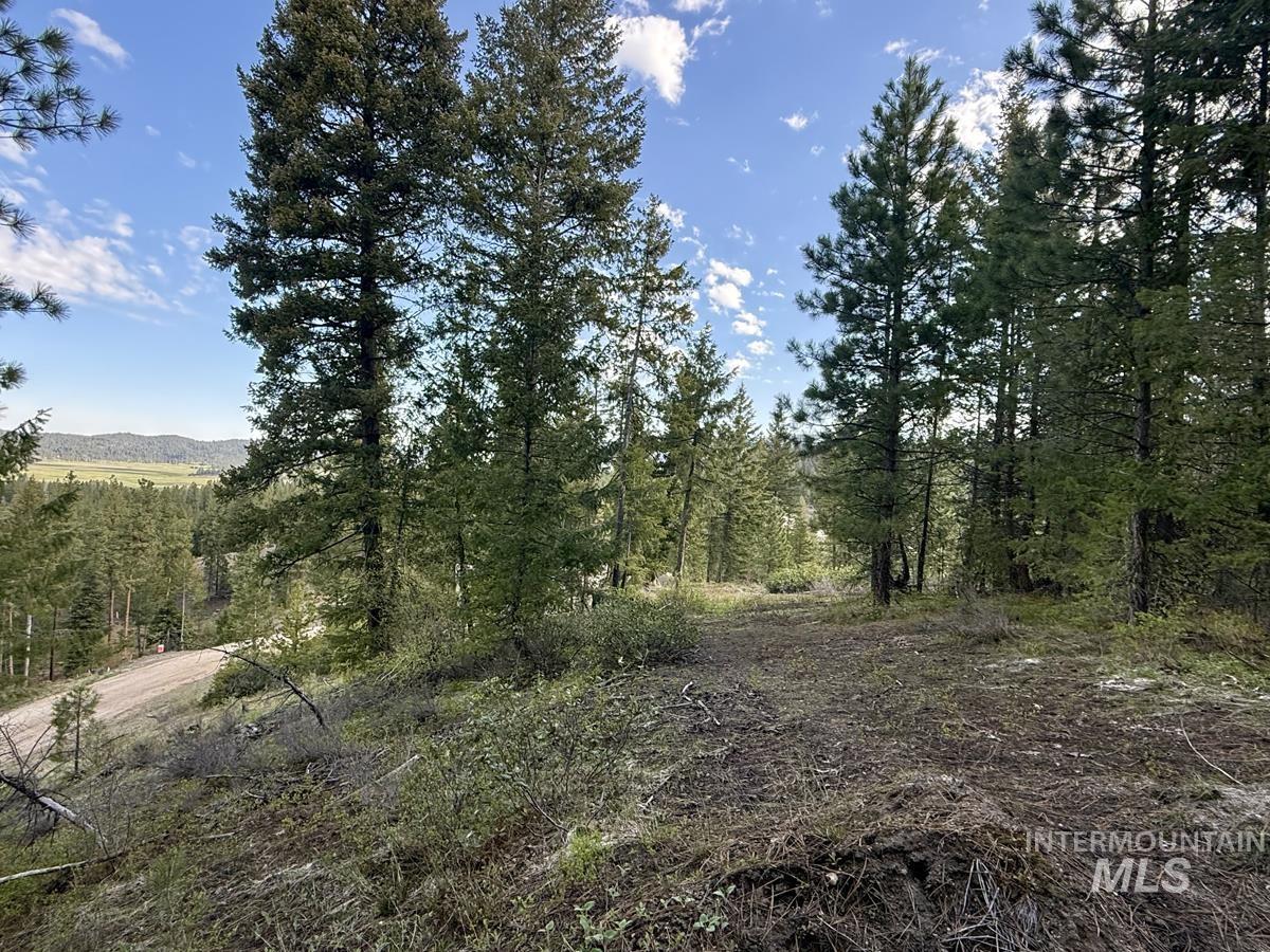 main property photo 10