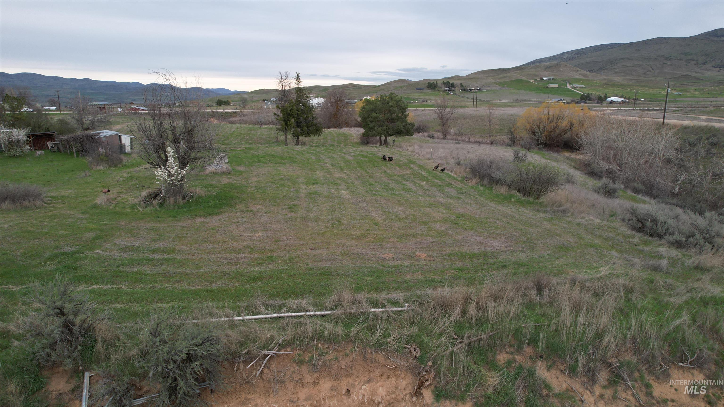main property photo 46