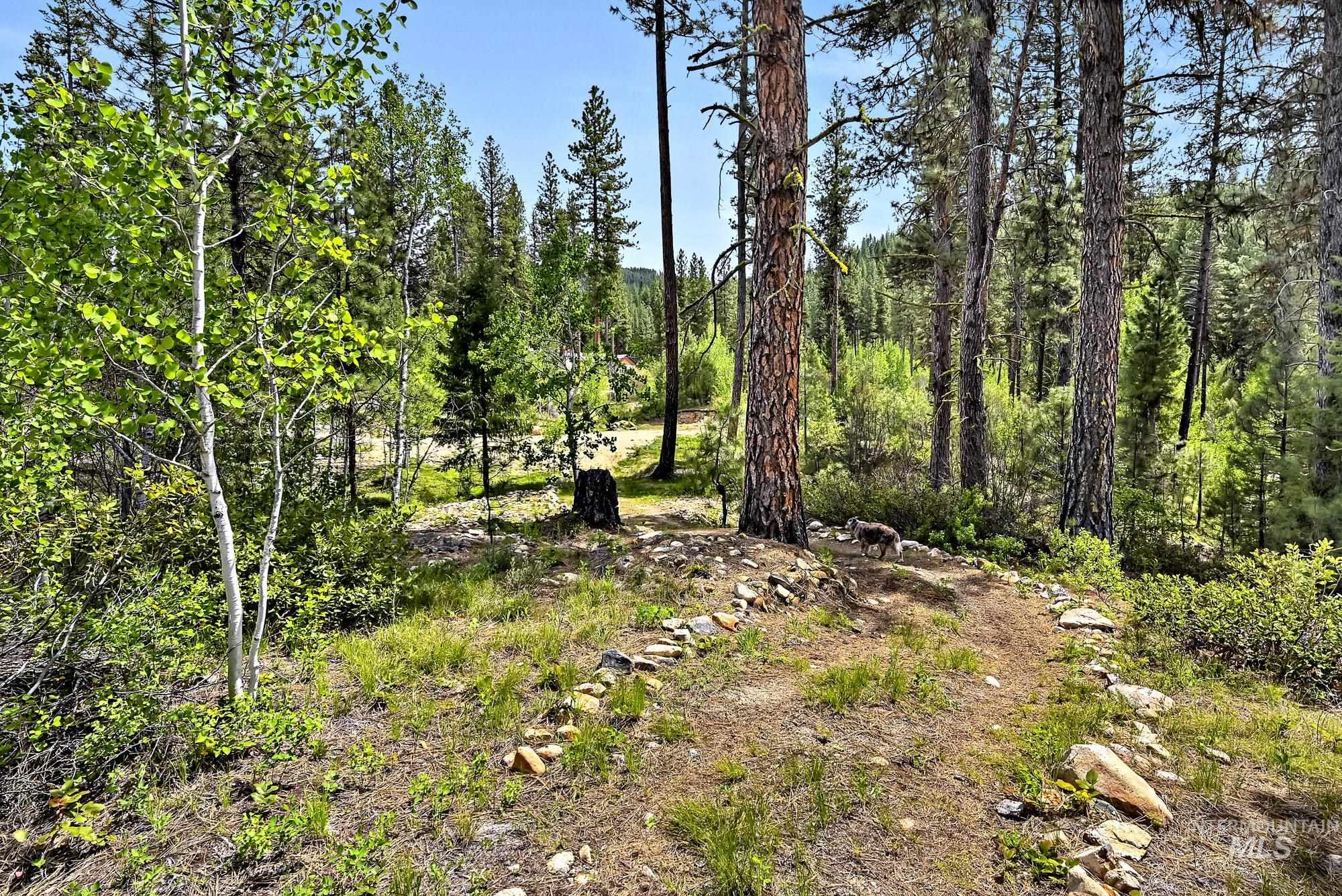 main property photo 29