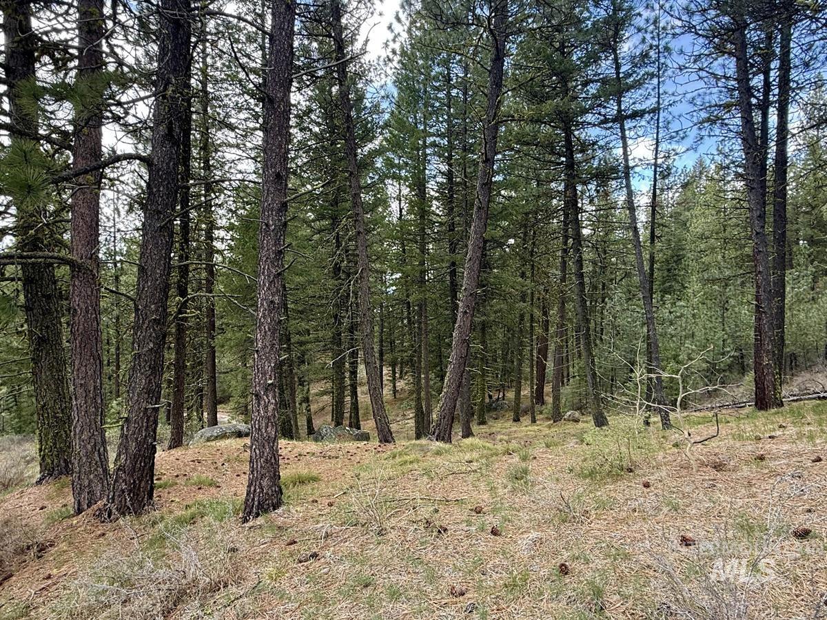 main property photo 42