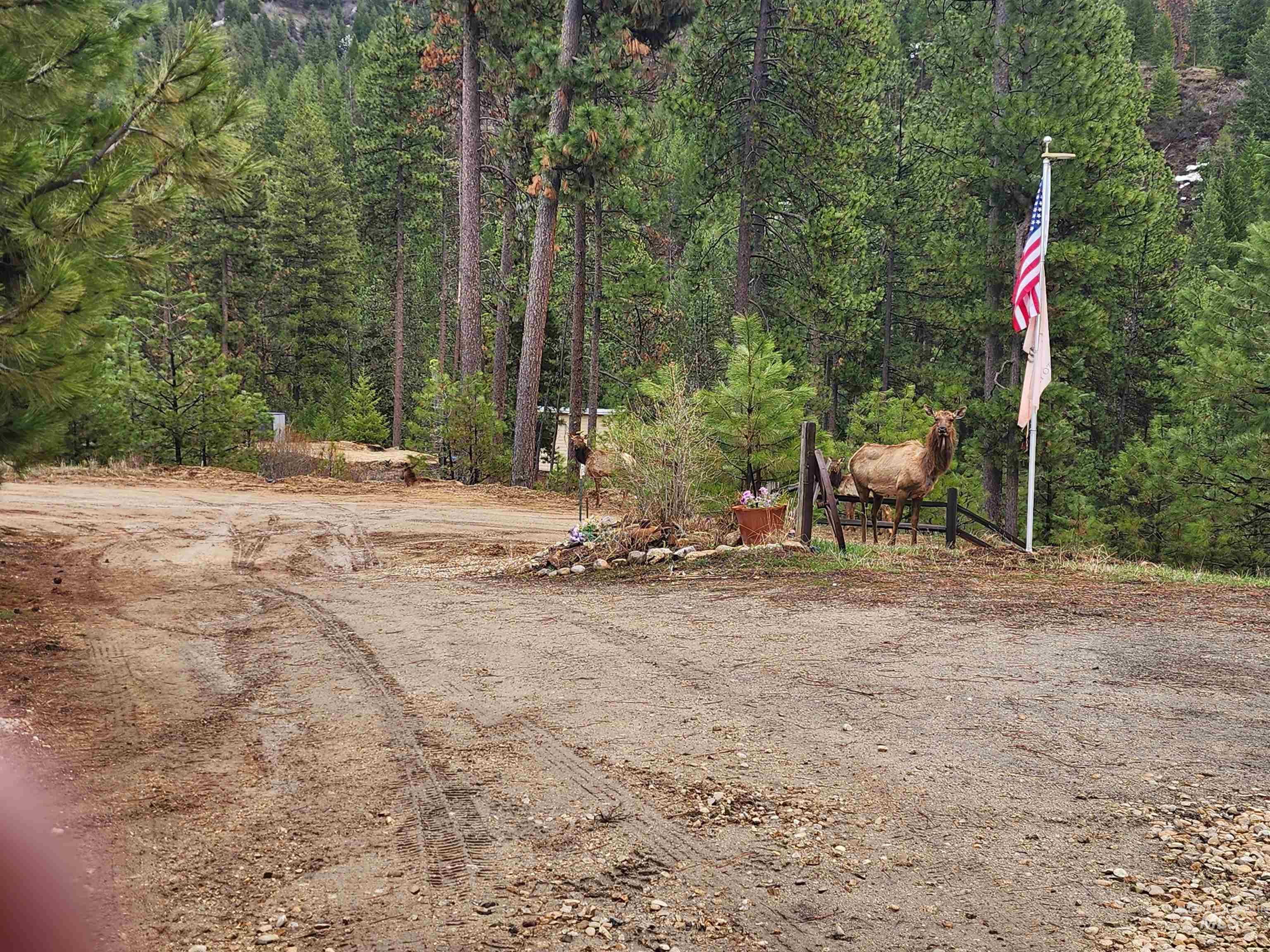 main property photo 34
