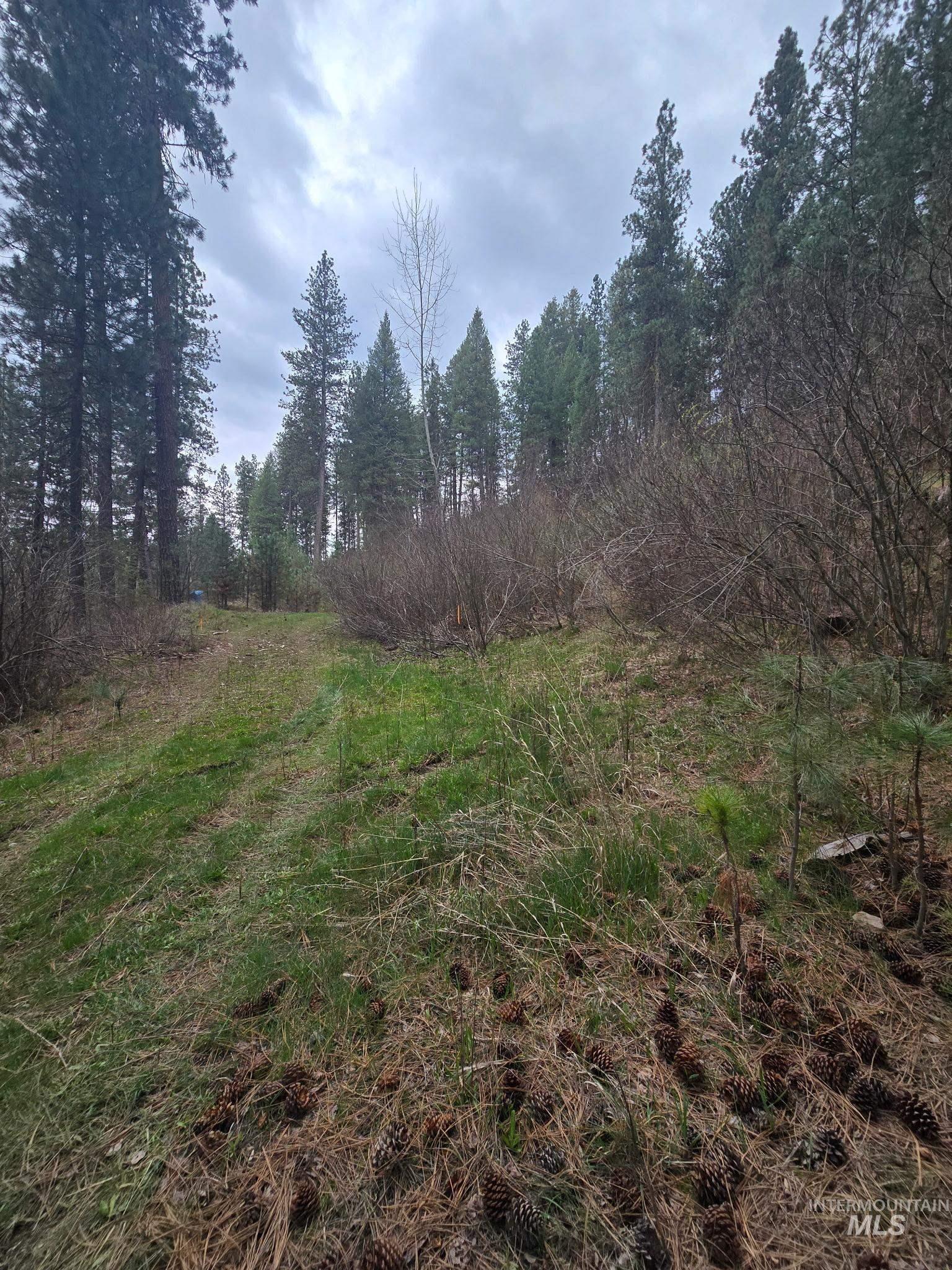 main property photo 8