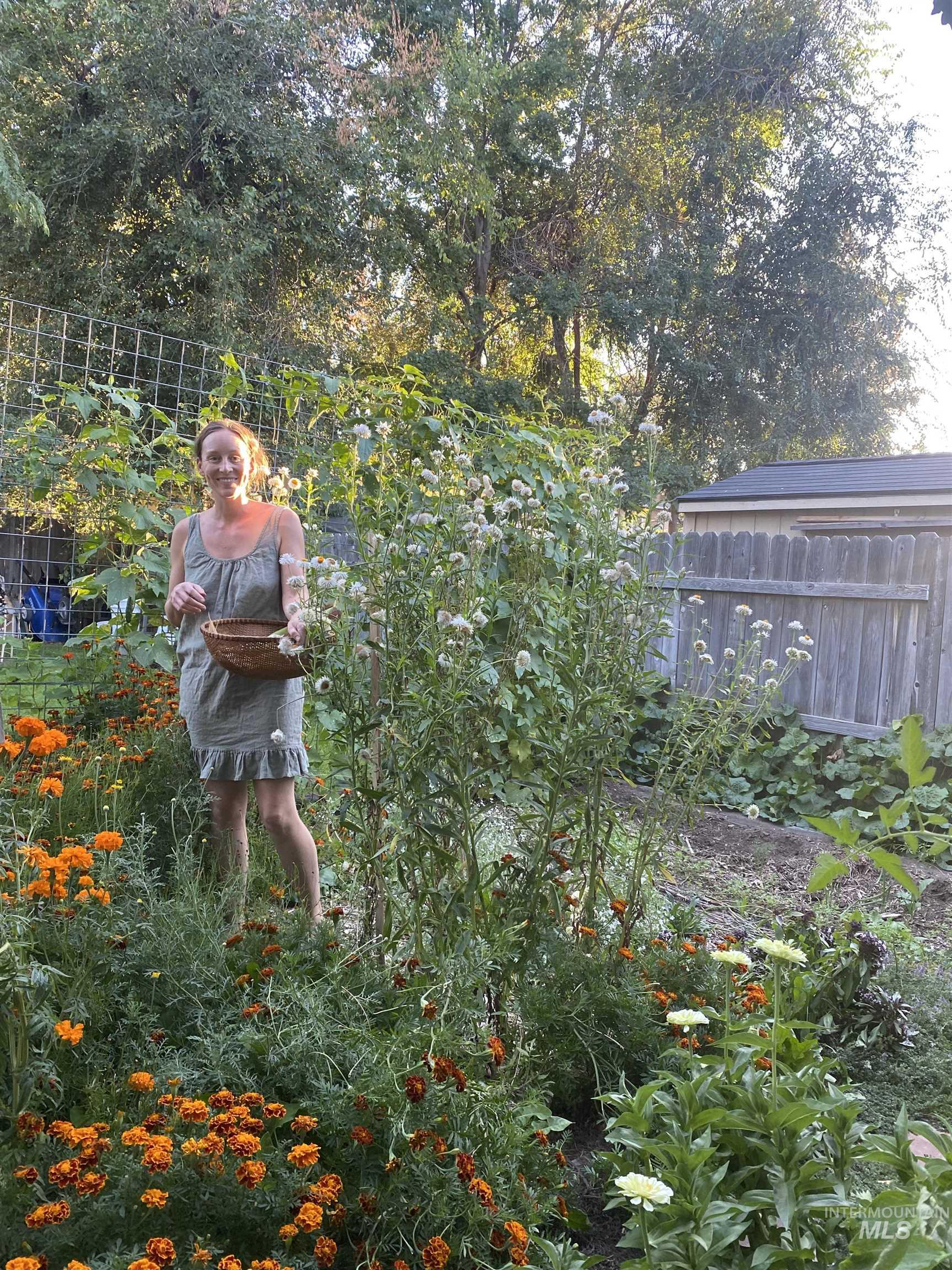 property viewer photo 32