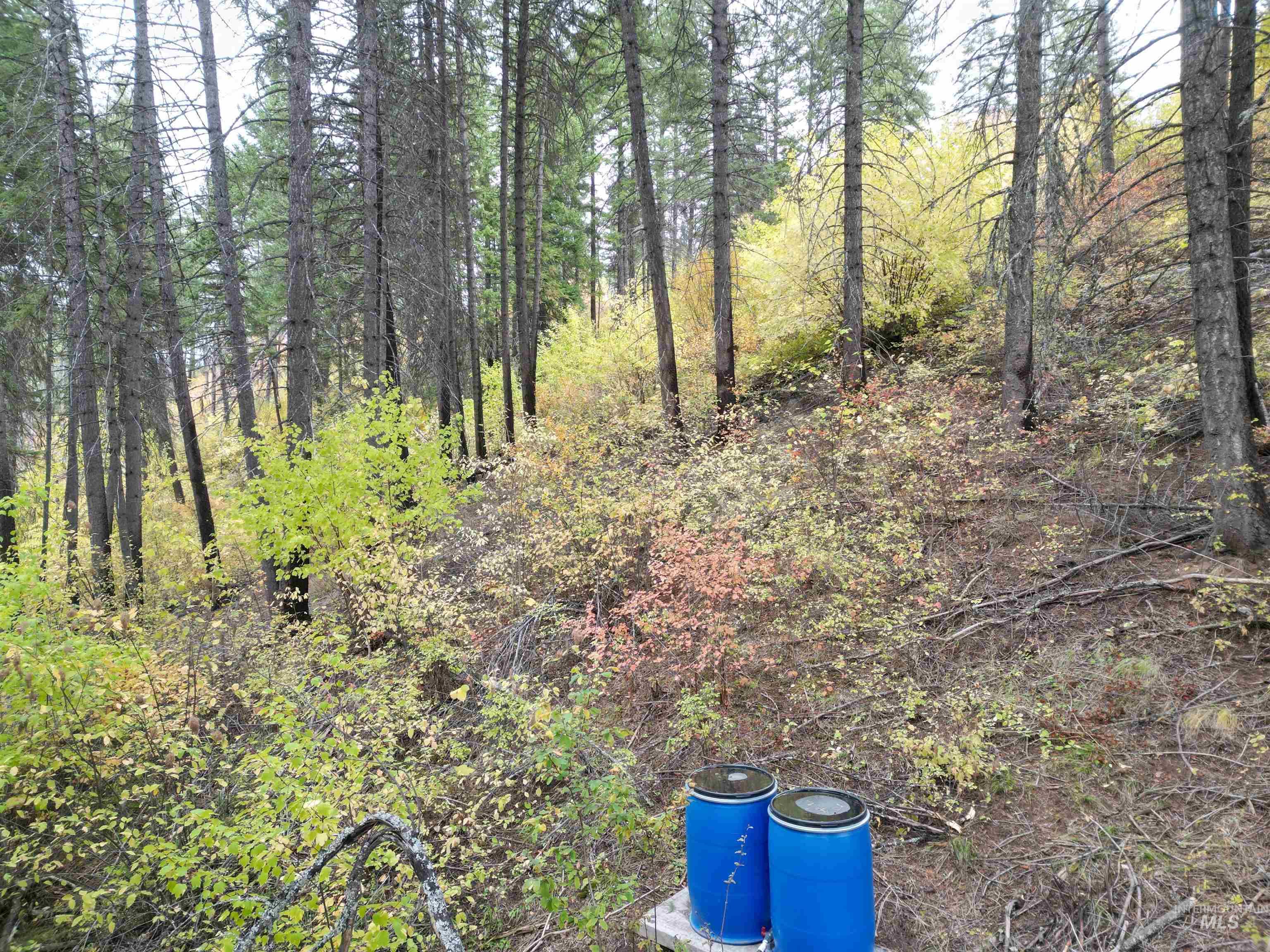 main property photo 19