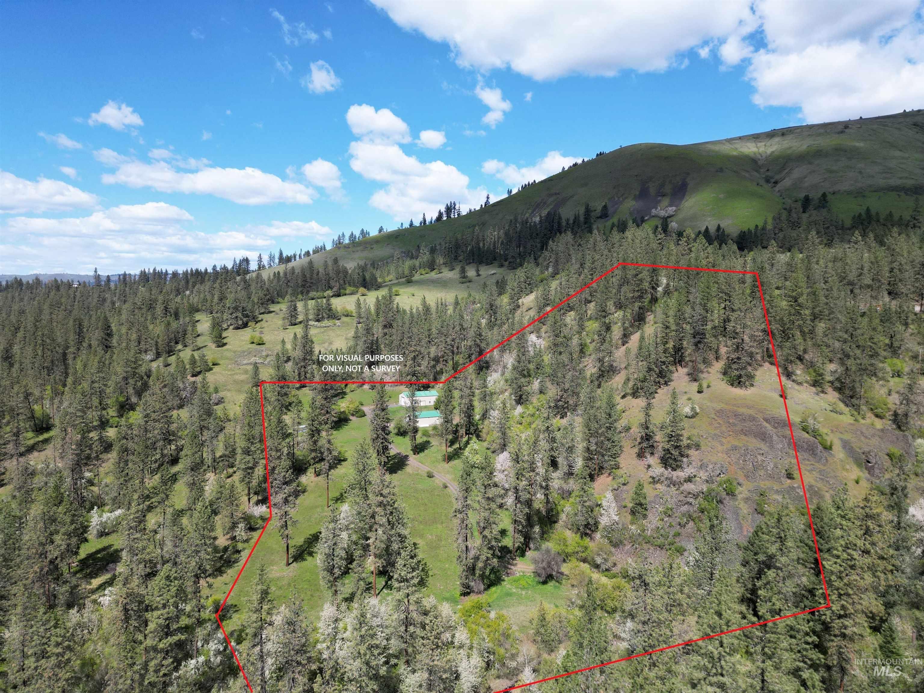 main property photo 40