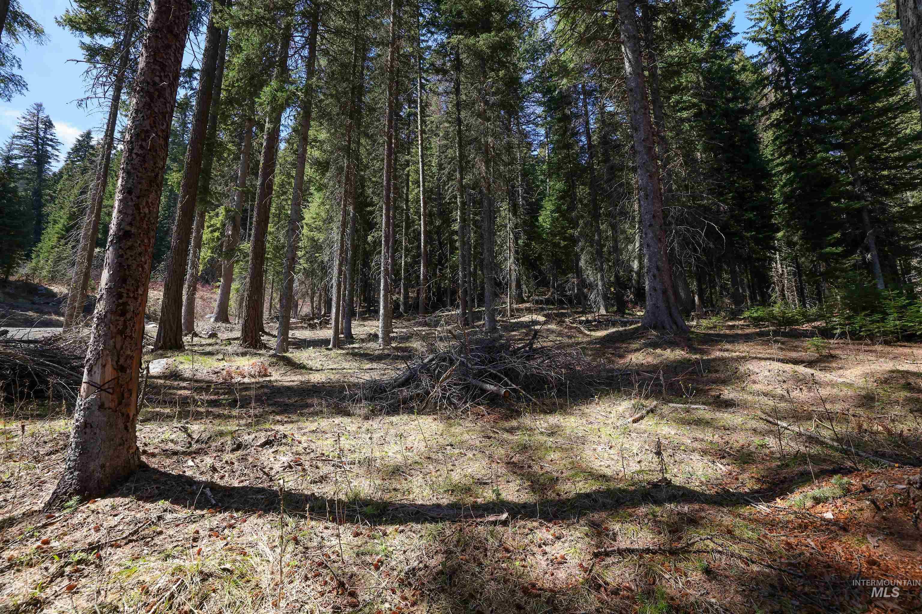 main property photo 11