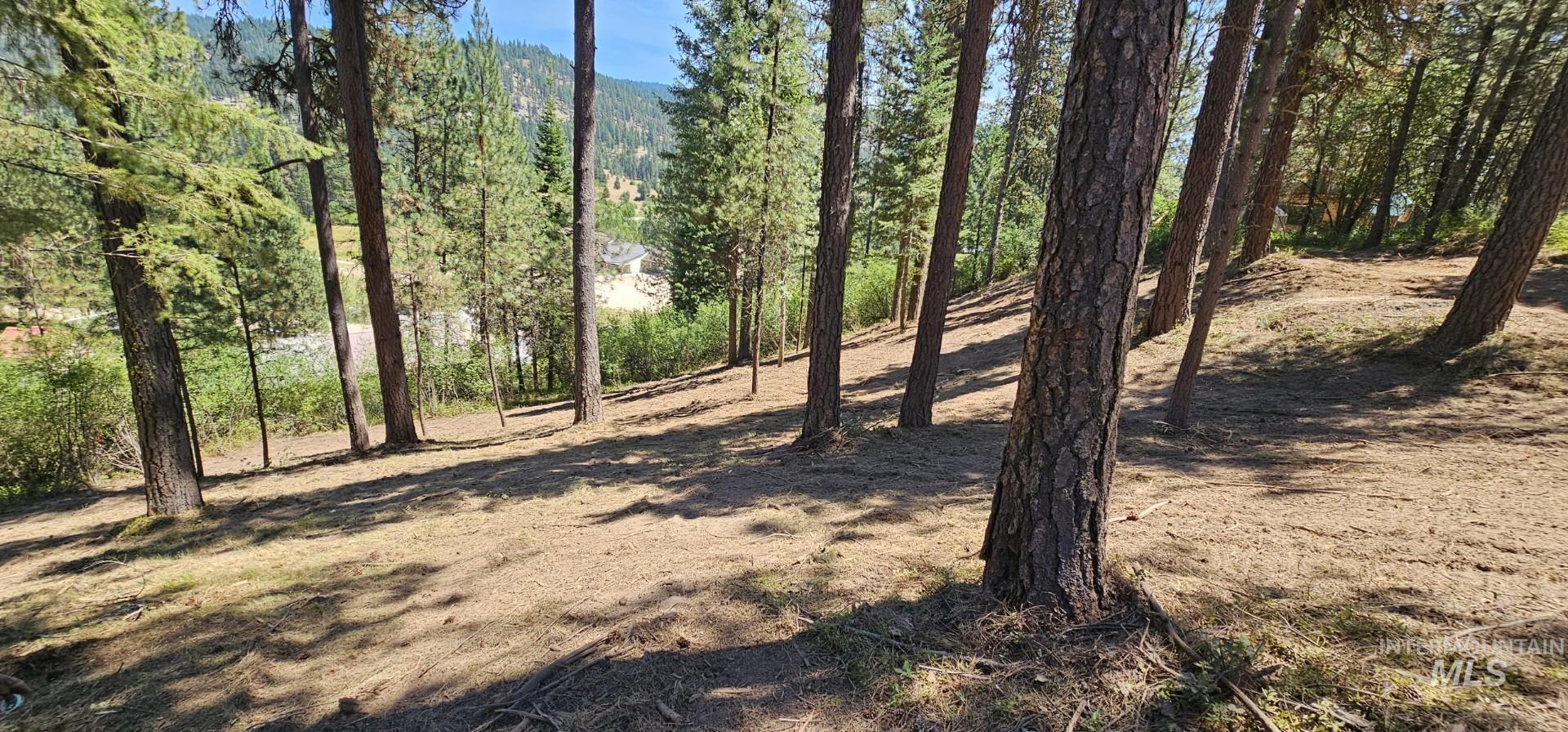 main property photo 13