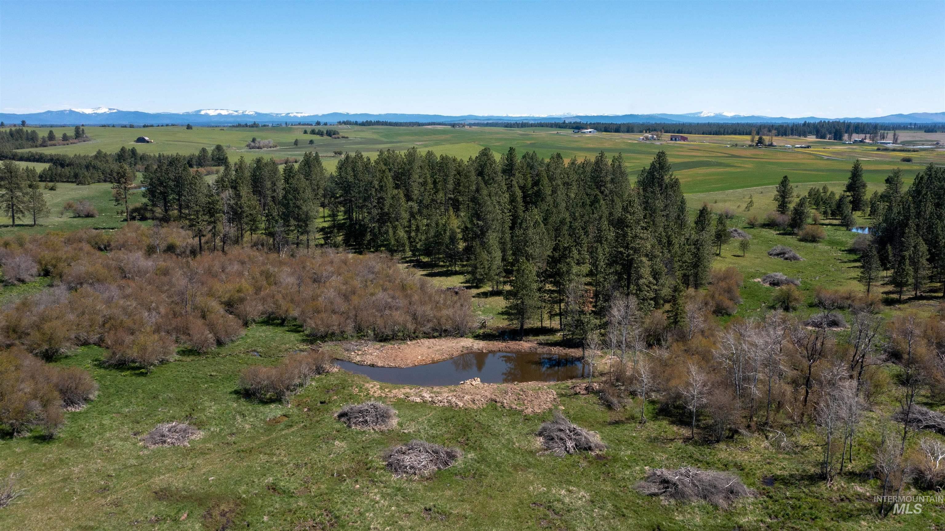 main property photo 47