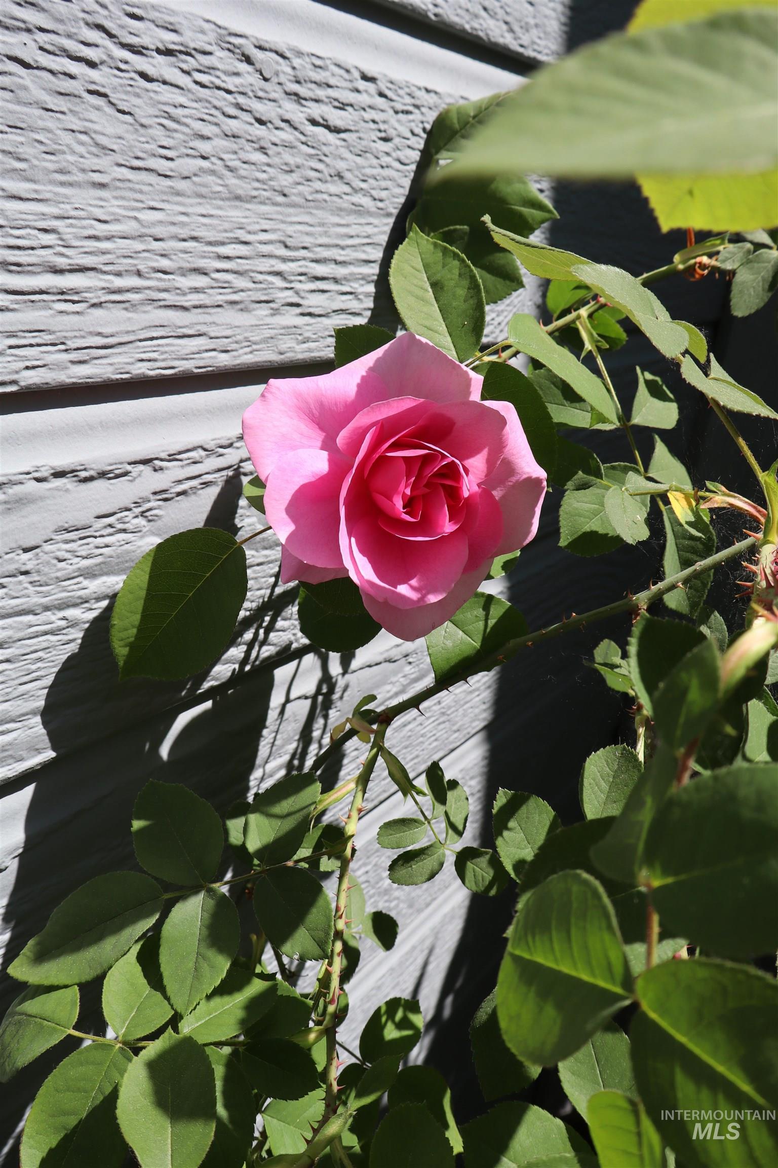 property viewer photo 27