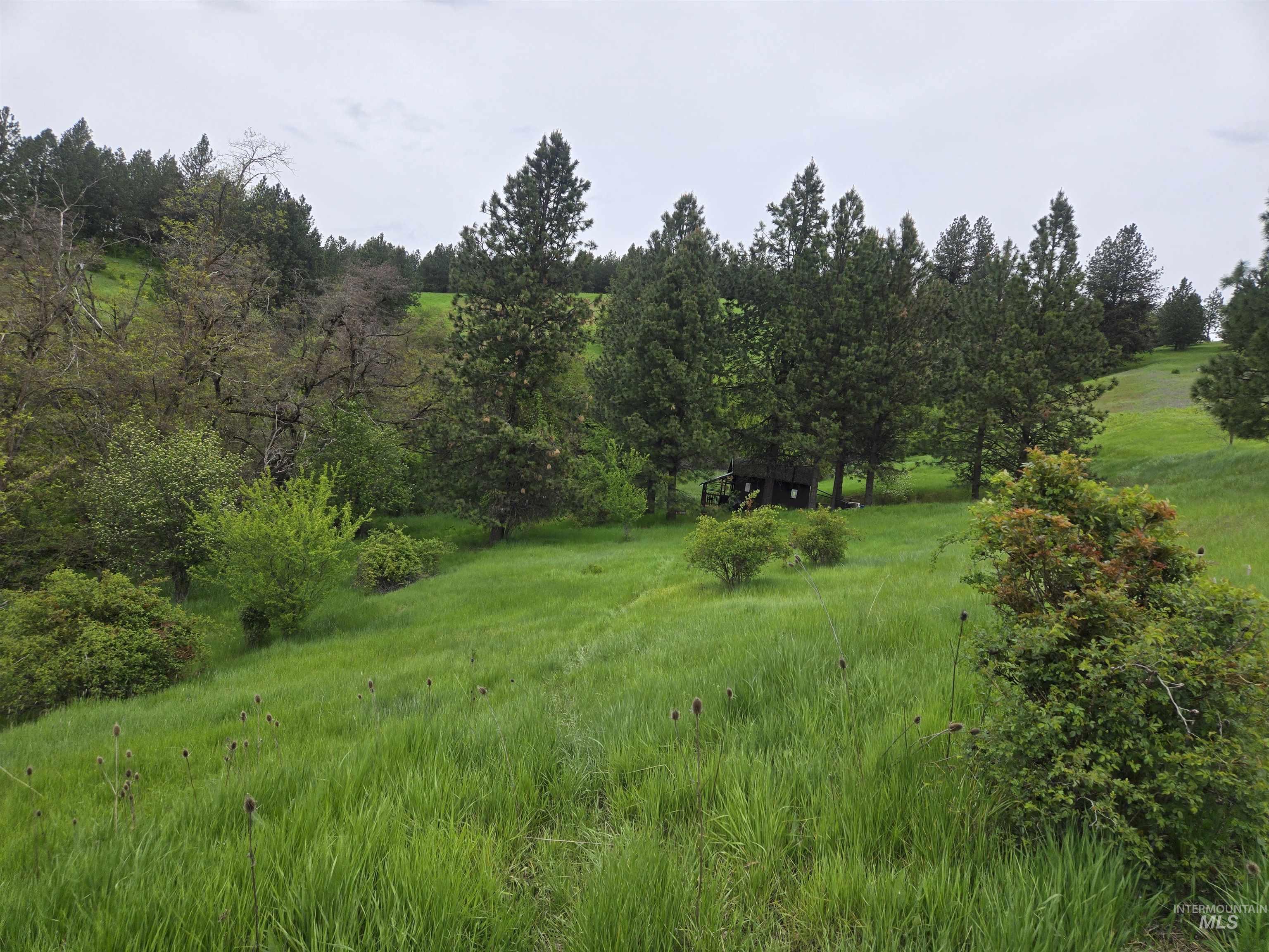 main property photo 27