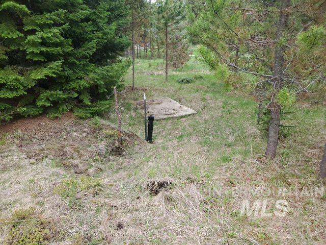 main property photo 42