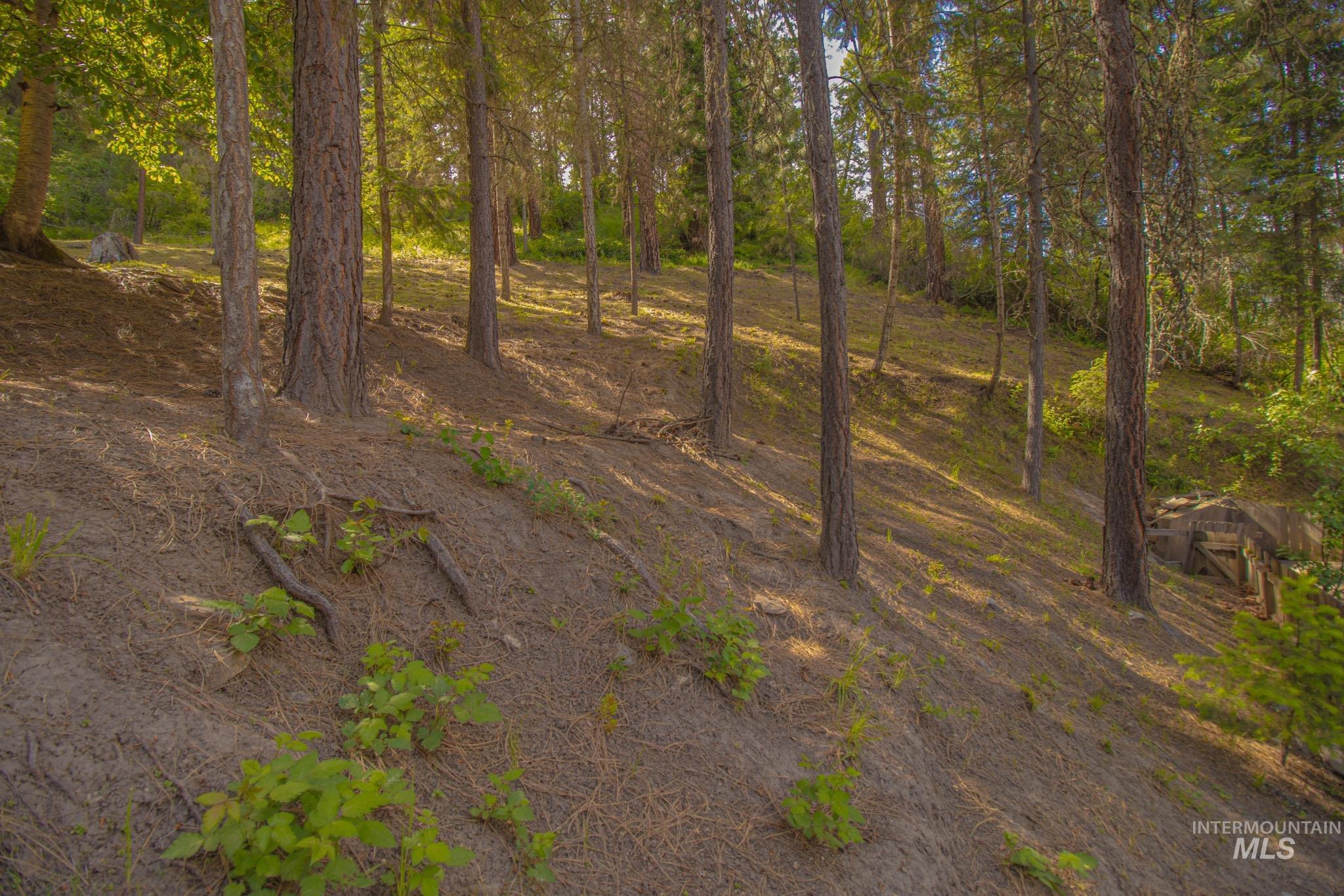 main property photo 39