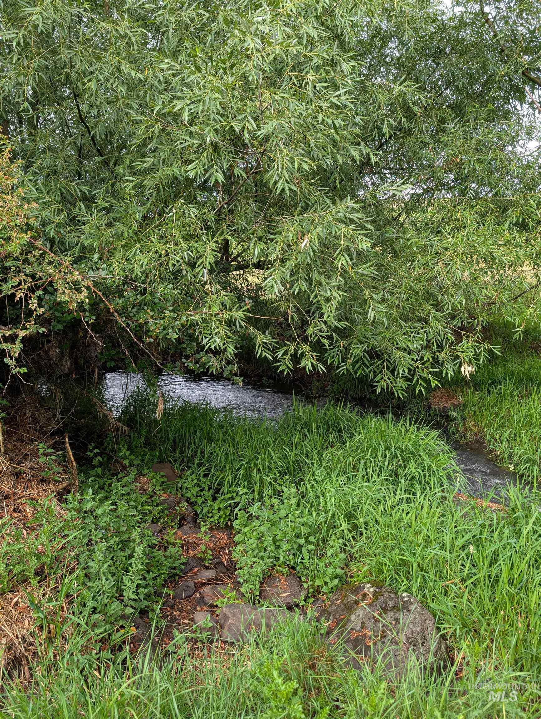 main property photo 40