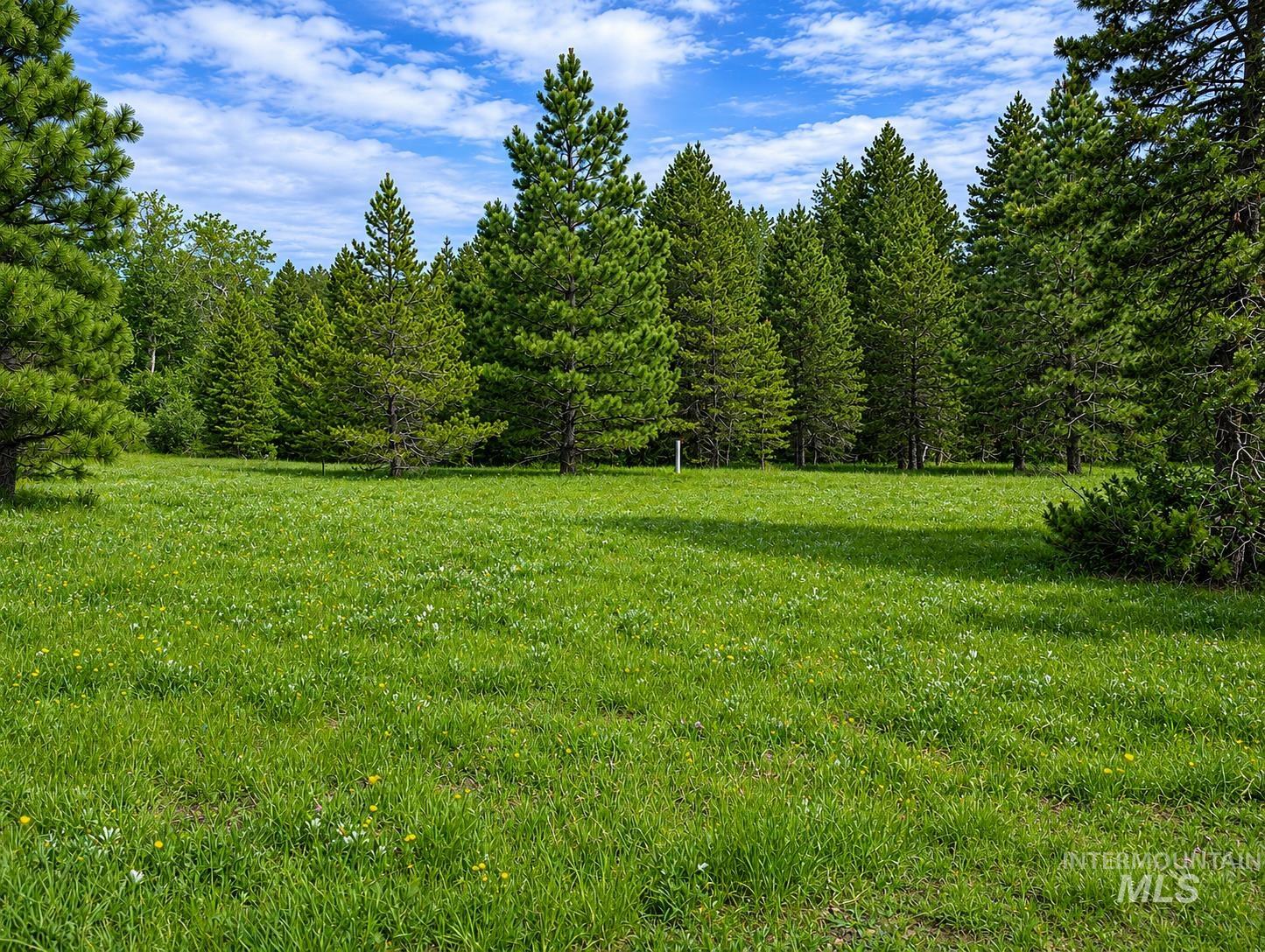main property photo 14