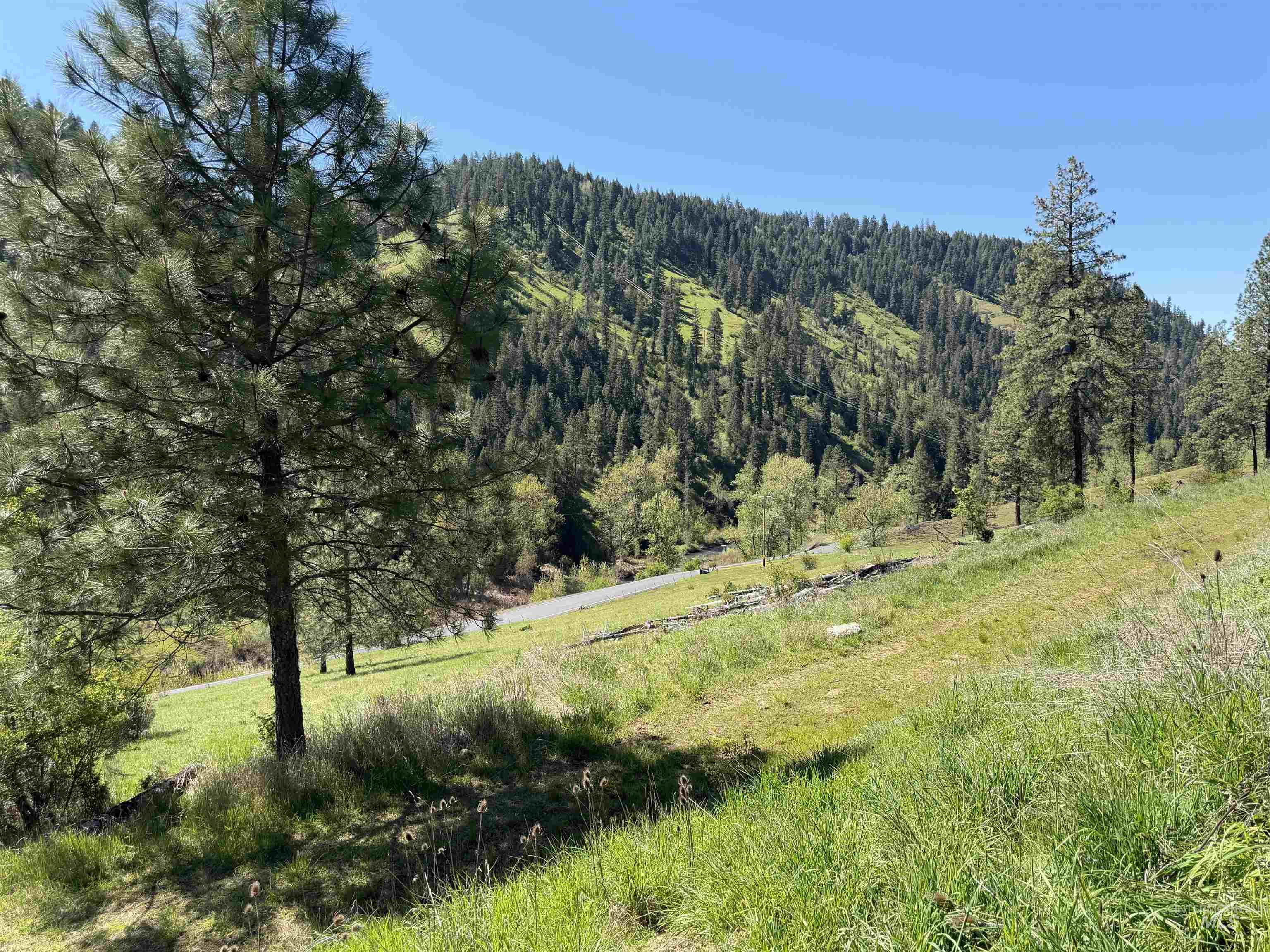 main property photo 25