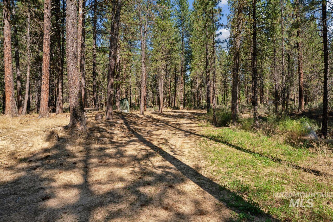 main property photo 41