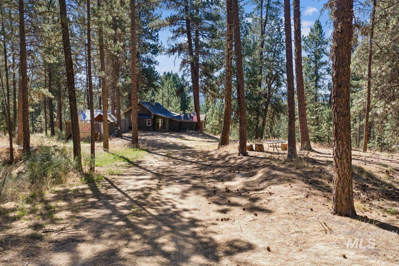 main property photo 42