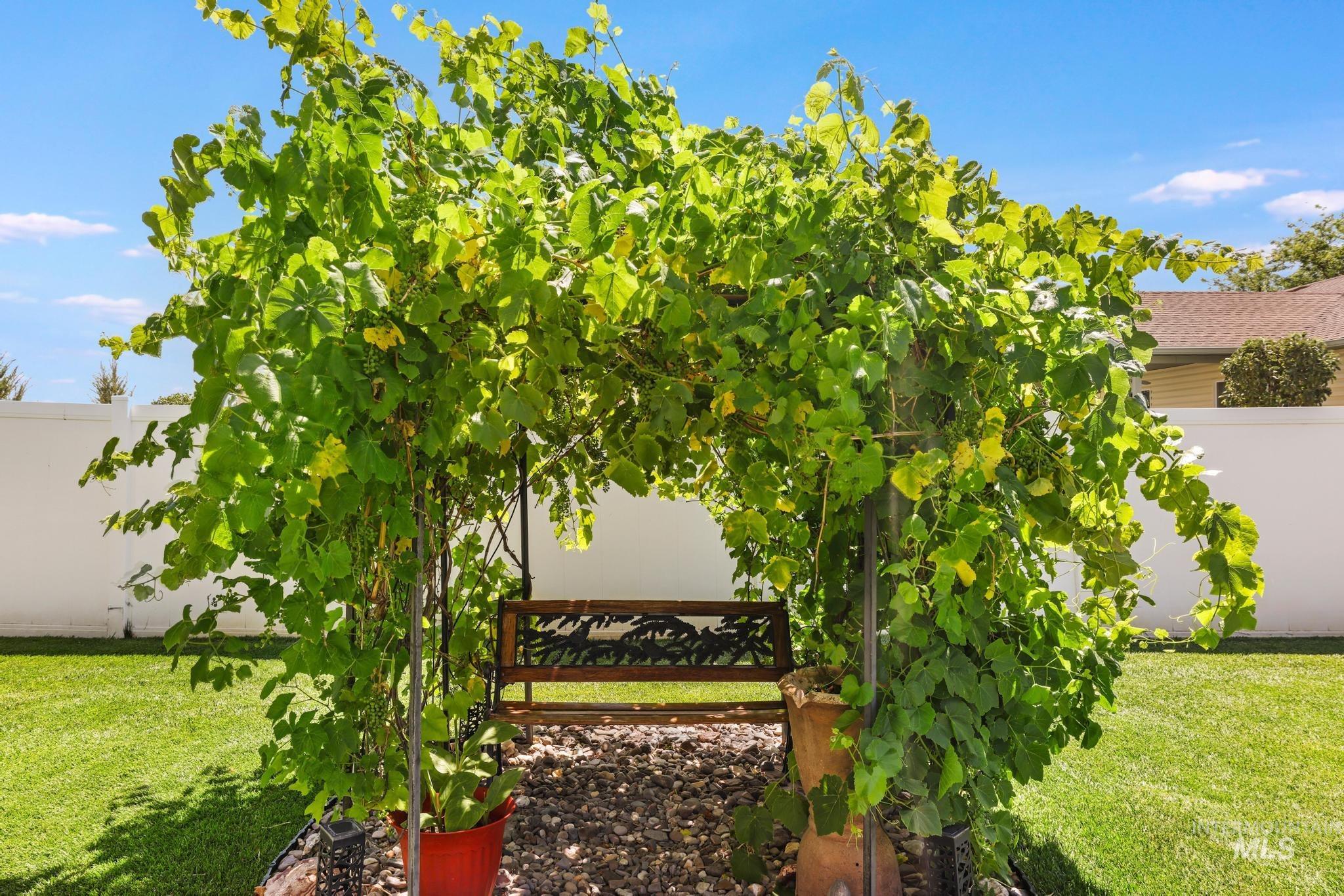 main property photo 32