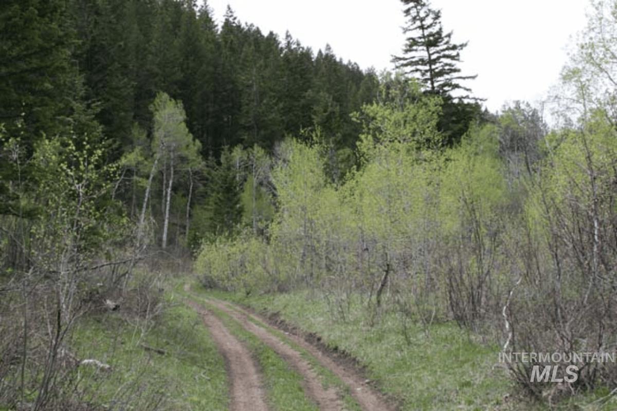 main property photo 14