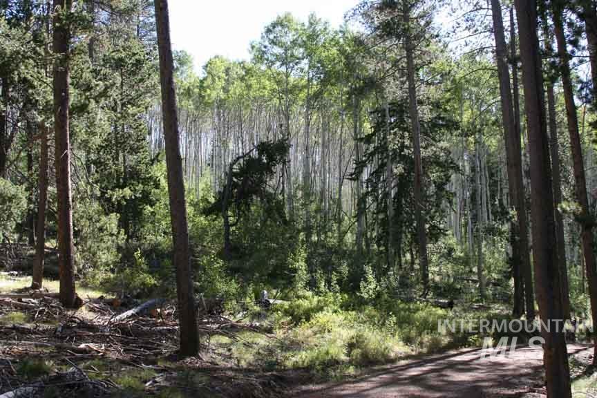 main property photo 26