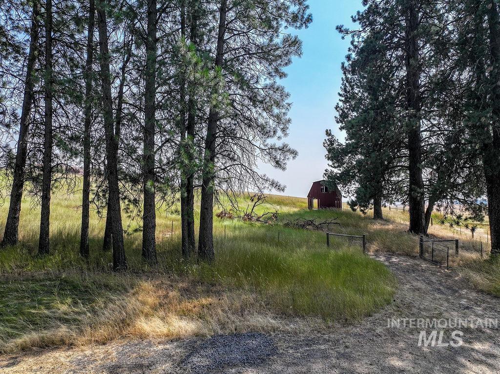 main property photo 43