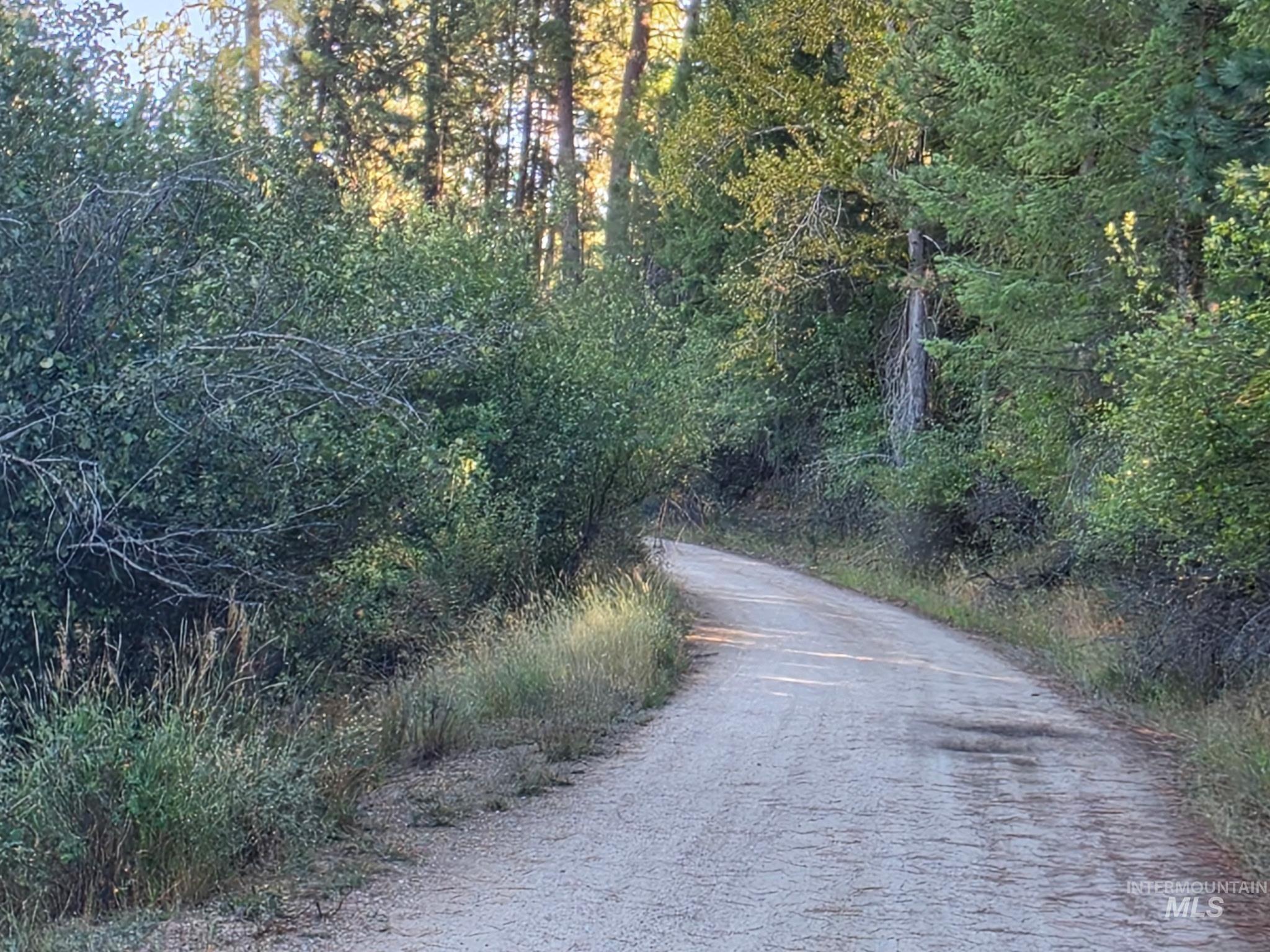 main property photo 42