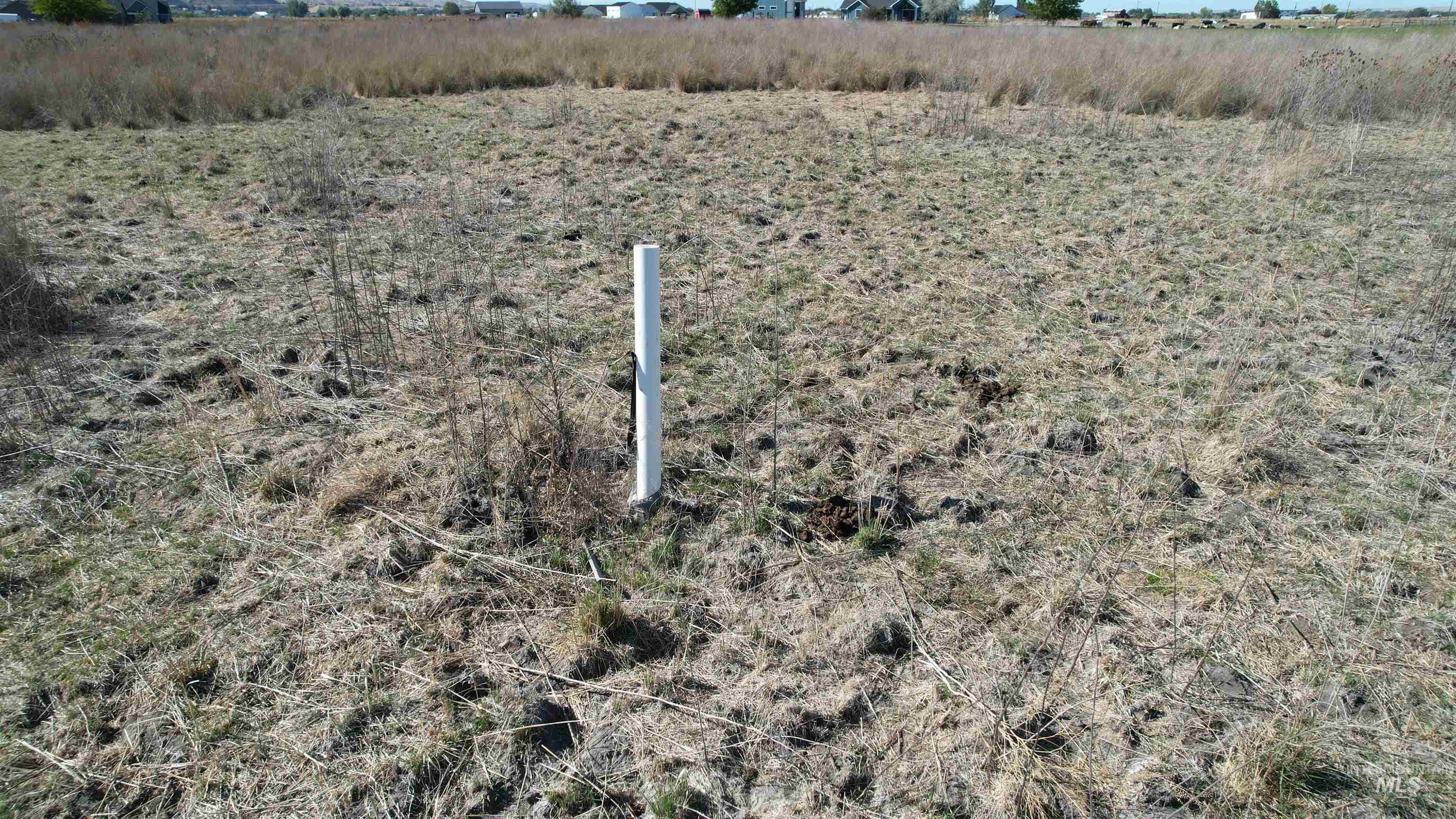 property viewer photo 14