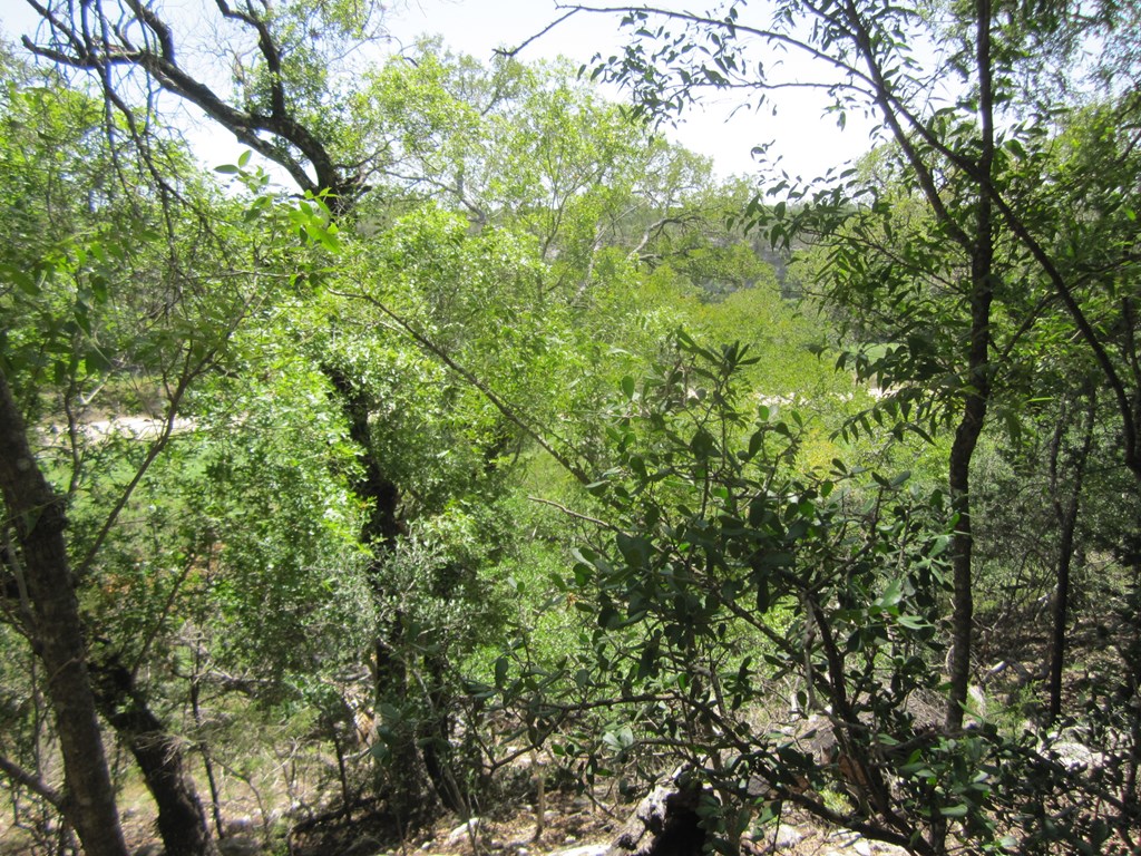 main property photo 14