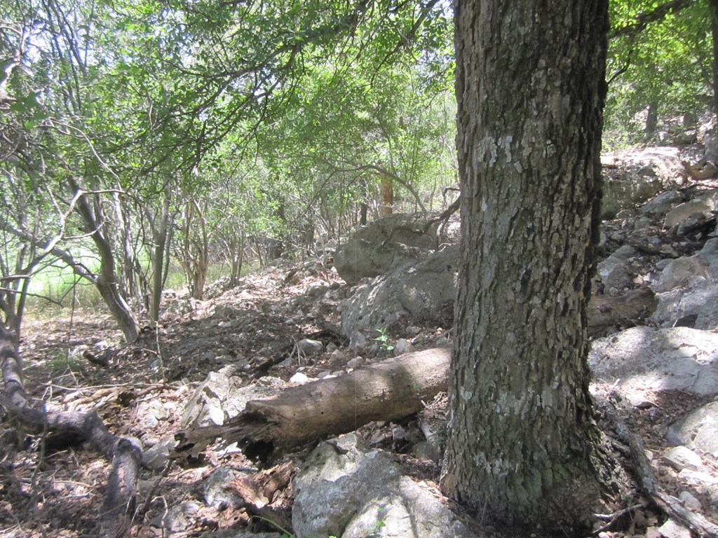 main property photo 15