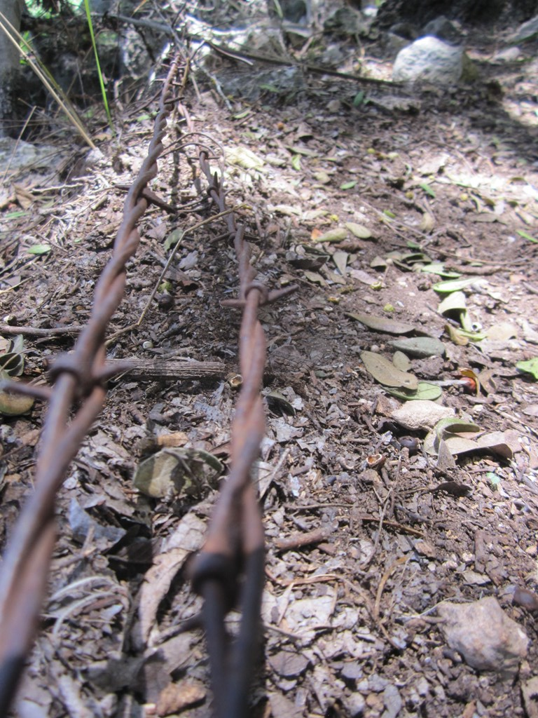 main property photo 16