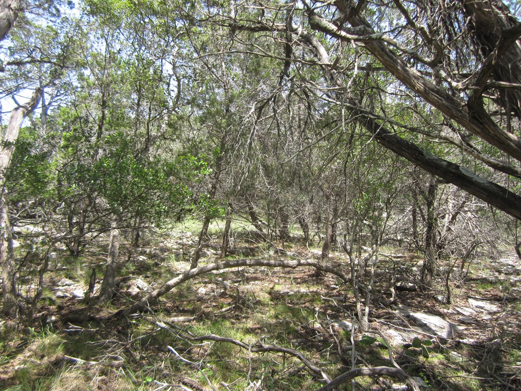main property photo 18