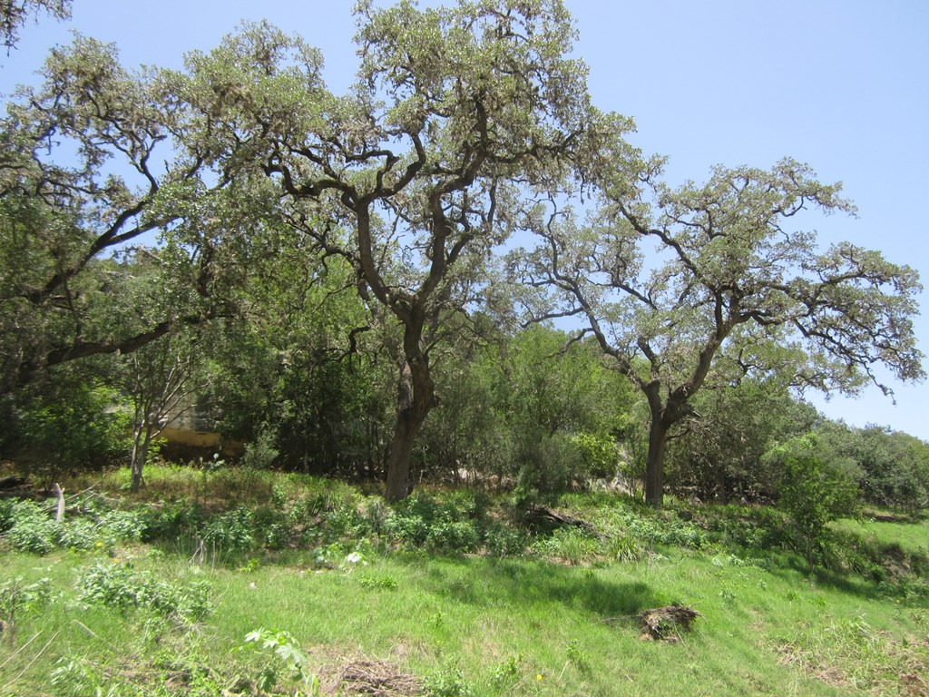 main property photo 8