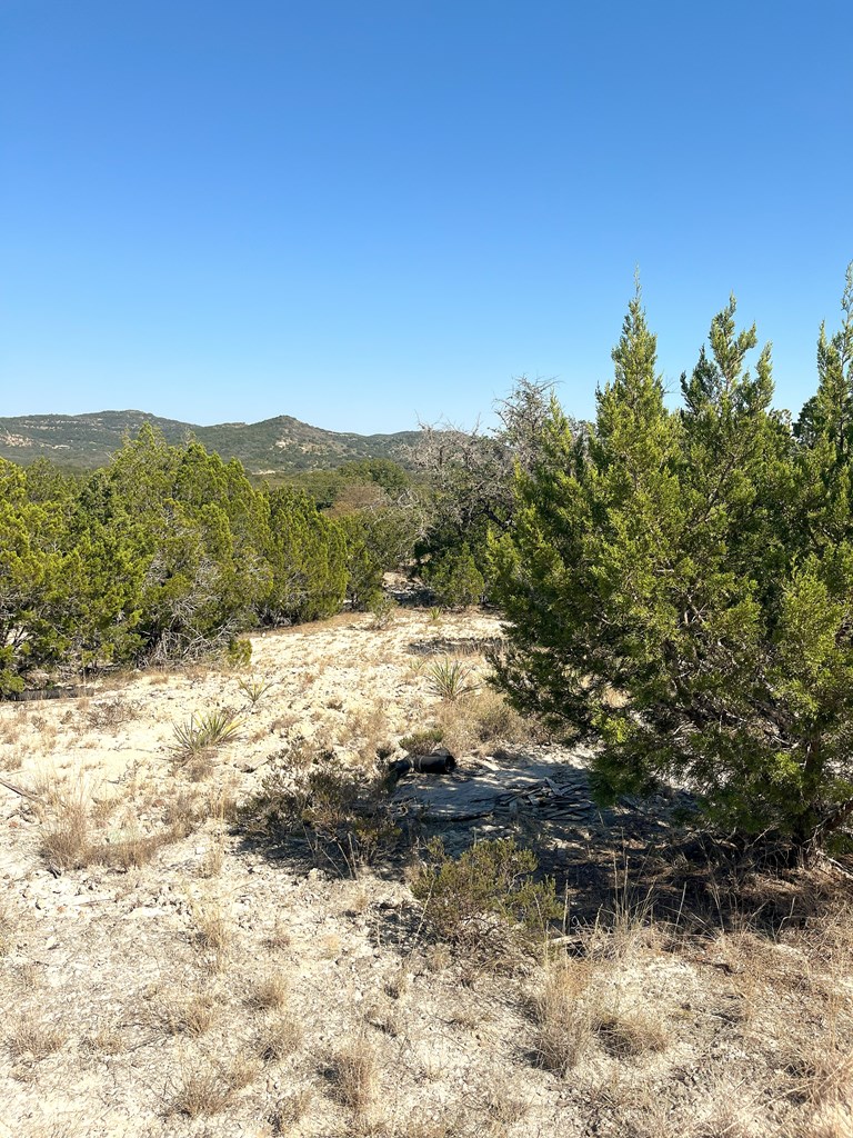 main property photo 11