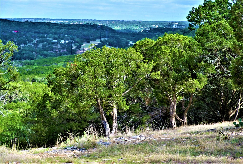 main property photo 11