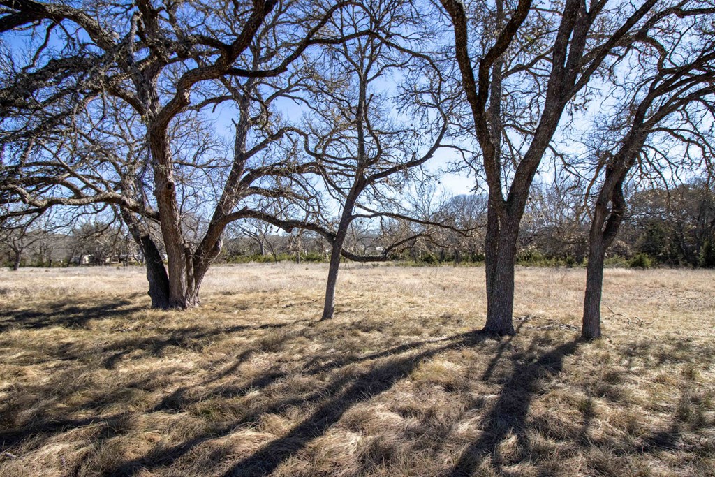 main property photo 47