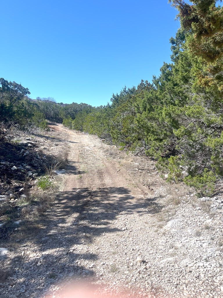 main property photo 6