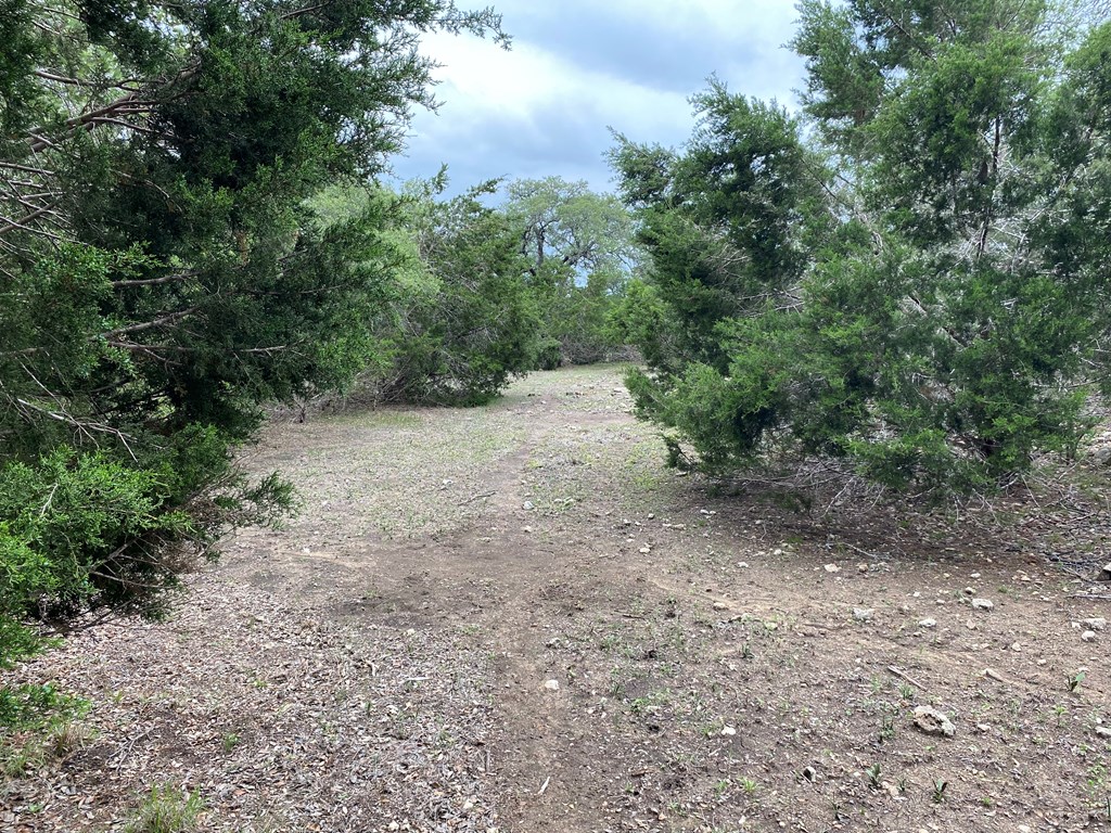 main property photo 10